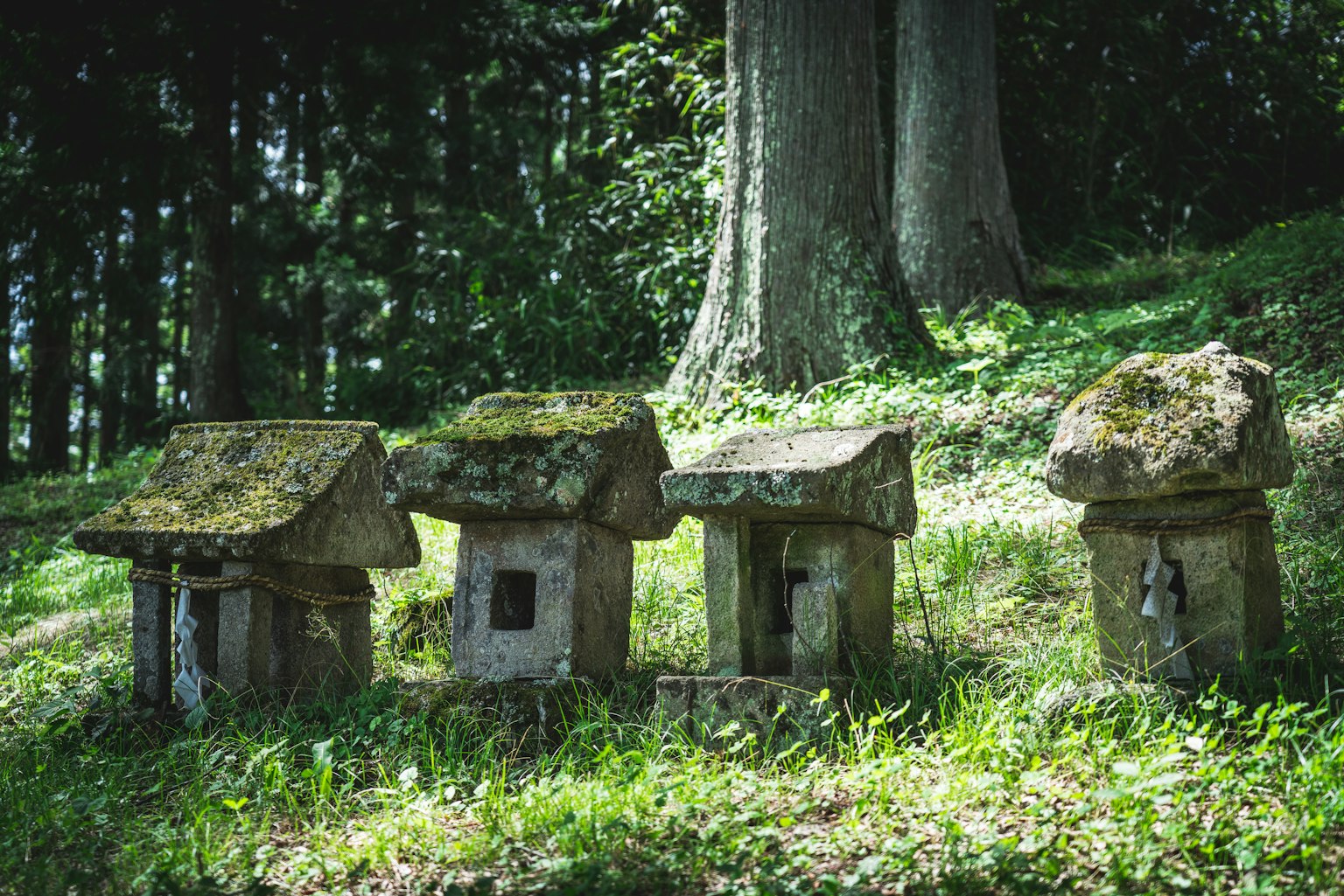 Une vue pittoresque avec des structures en pierre anciennes ressemblant à de petites maisons sur l'herbe verte