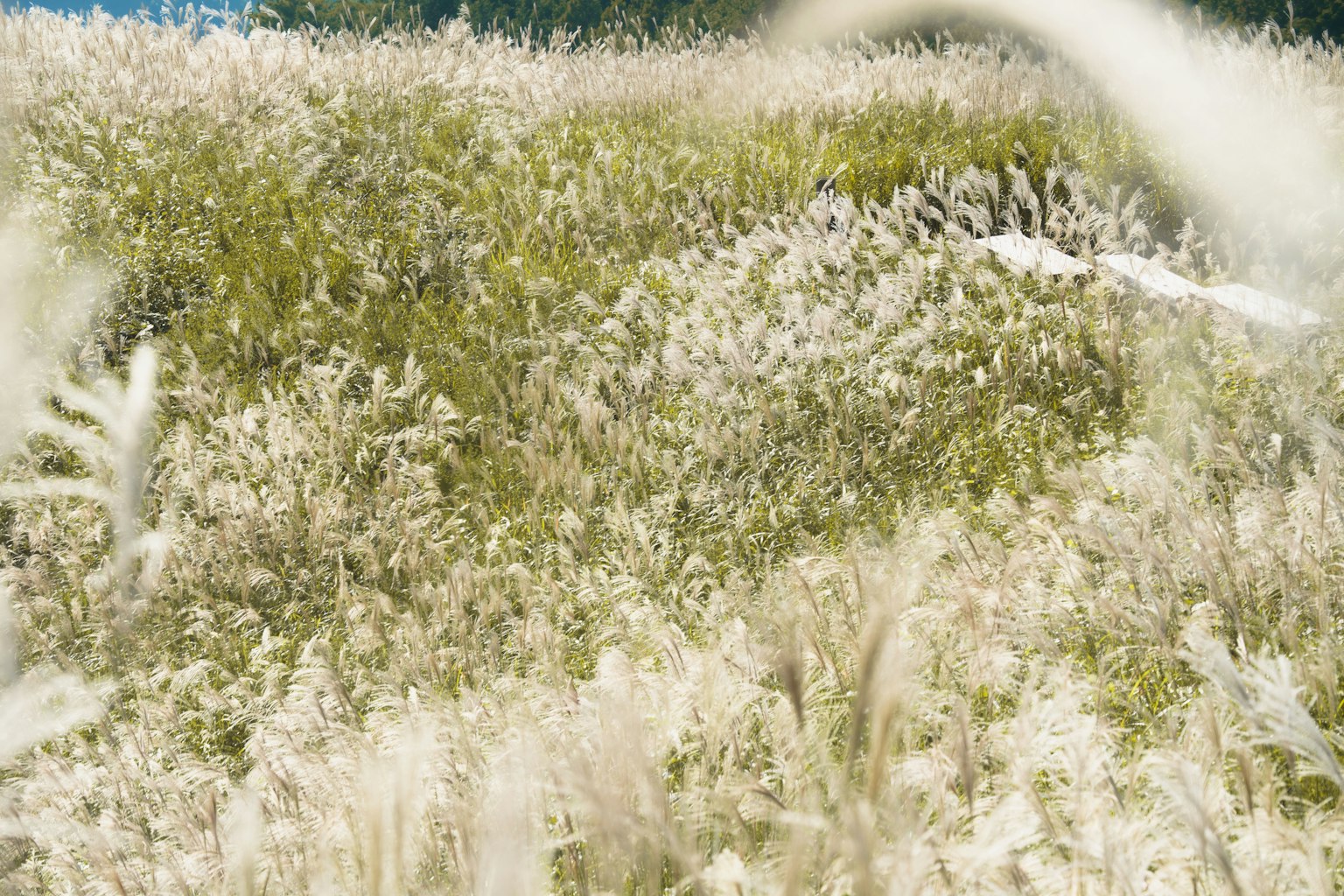 photo-WMUlWuUHSwaBjfG5POsP-image