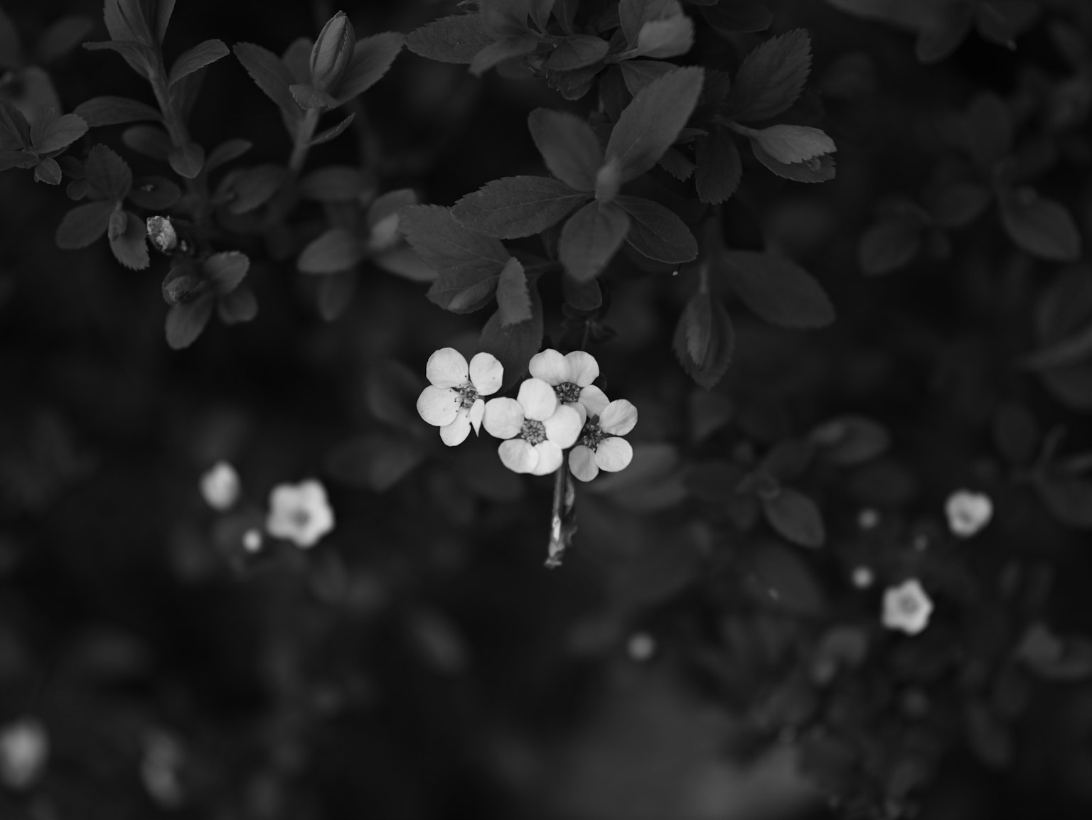photo-WNCMmNLWjYTkkFl4OAZX-image