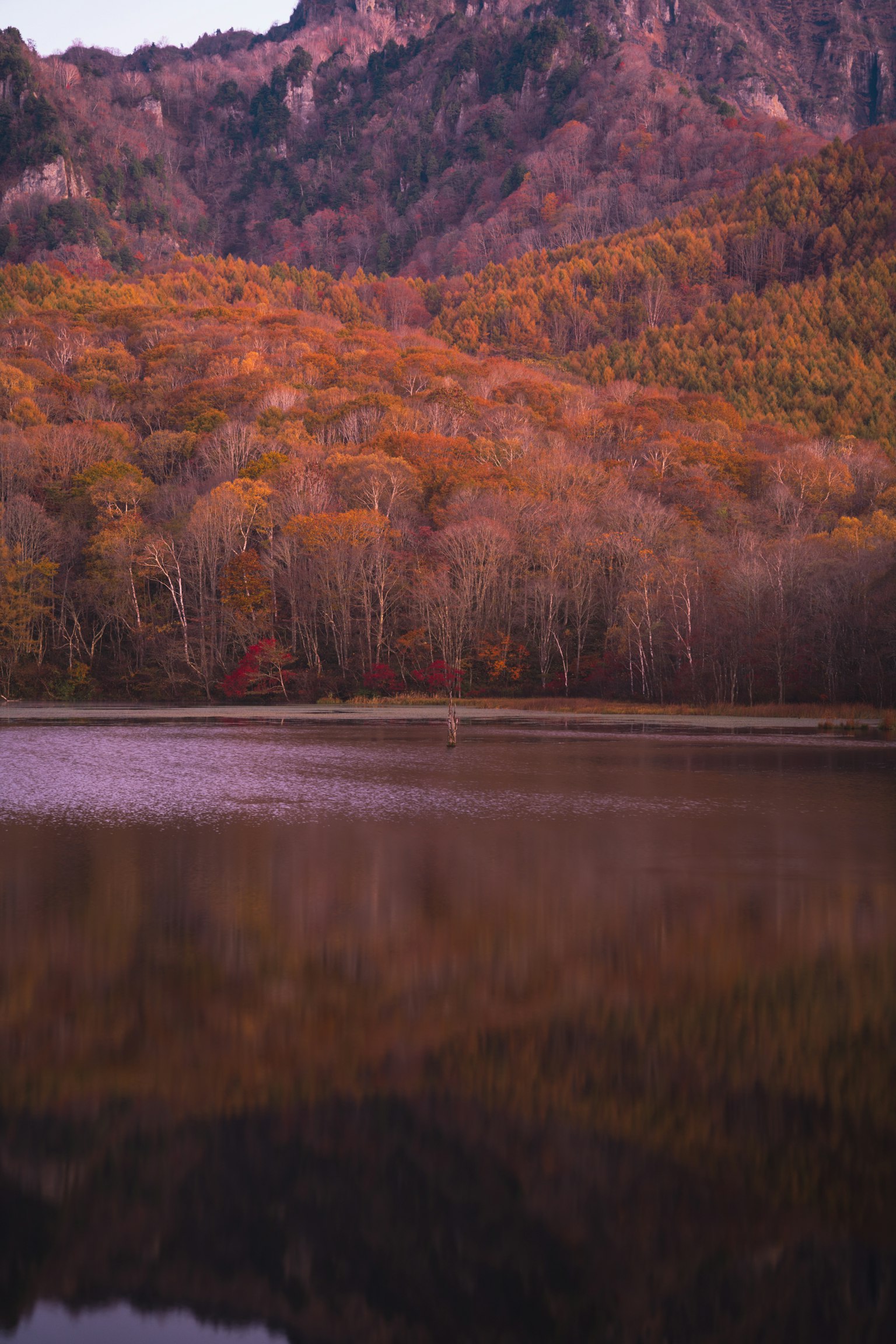 Scenic view of autumn foliage reflecting in a tranquil lake