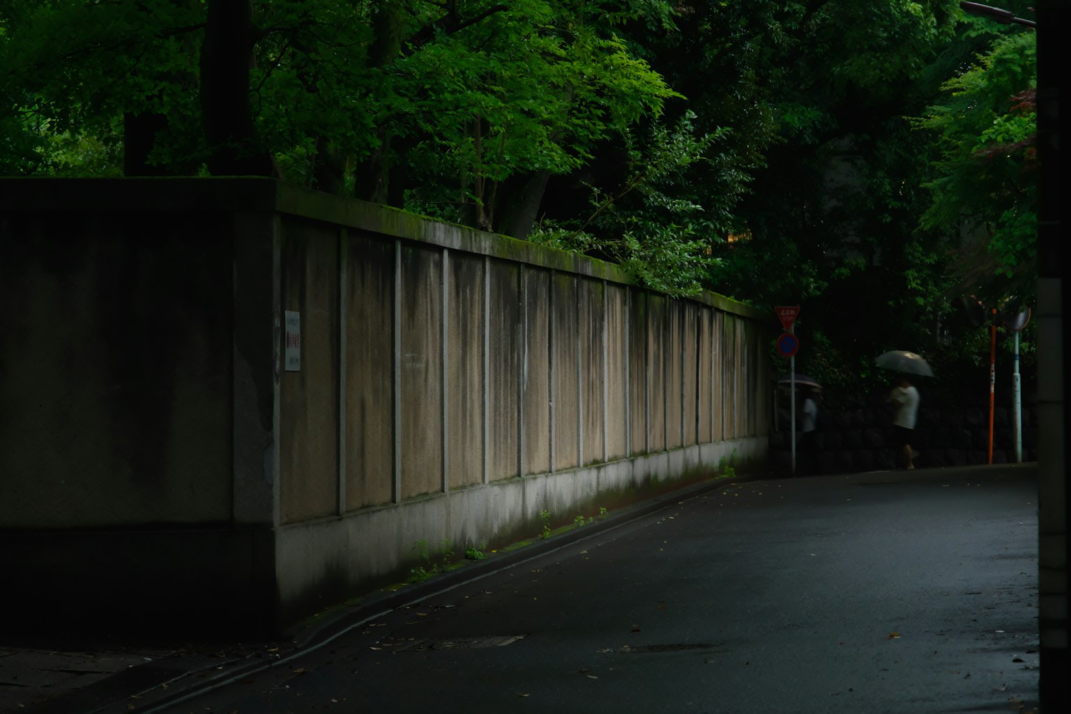 Con đường yên tĩnh với bức tường bao quanh bởi cây xanh và một người cầm ô