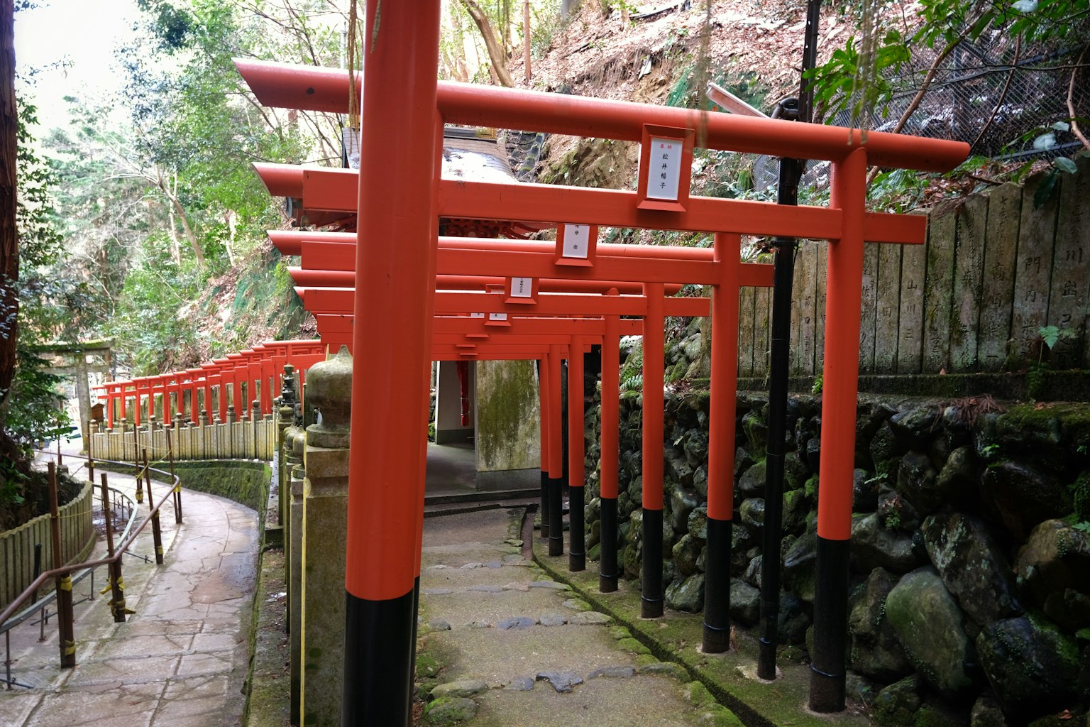 紅色鳥居排列的小道風景