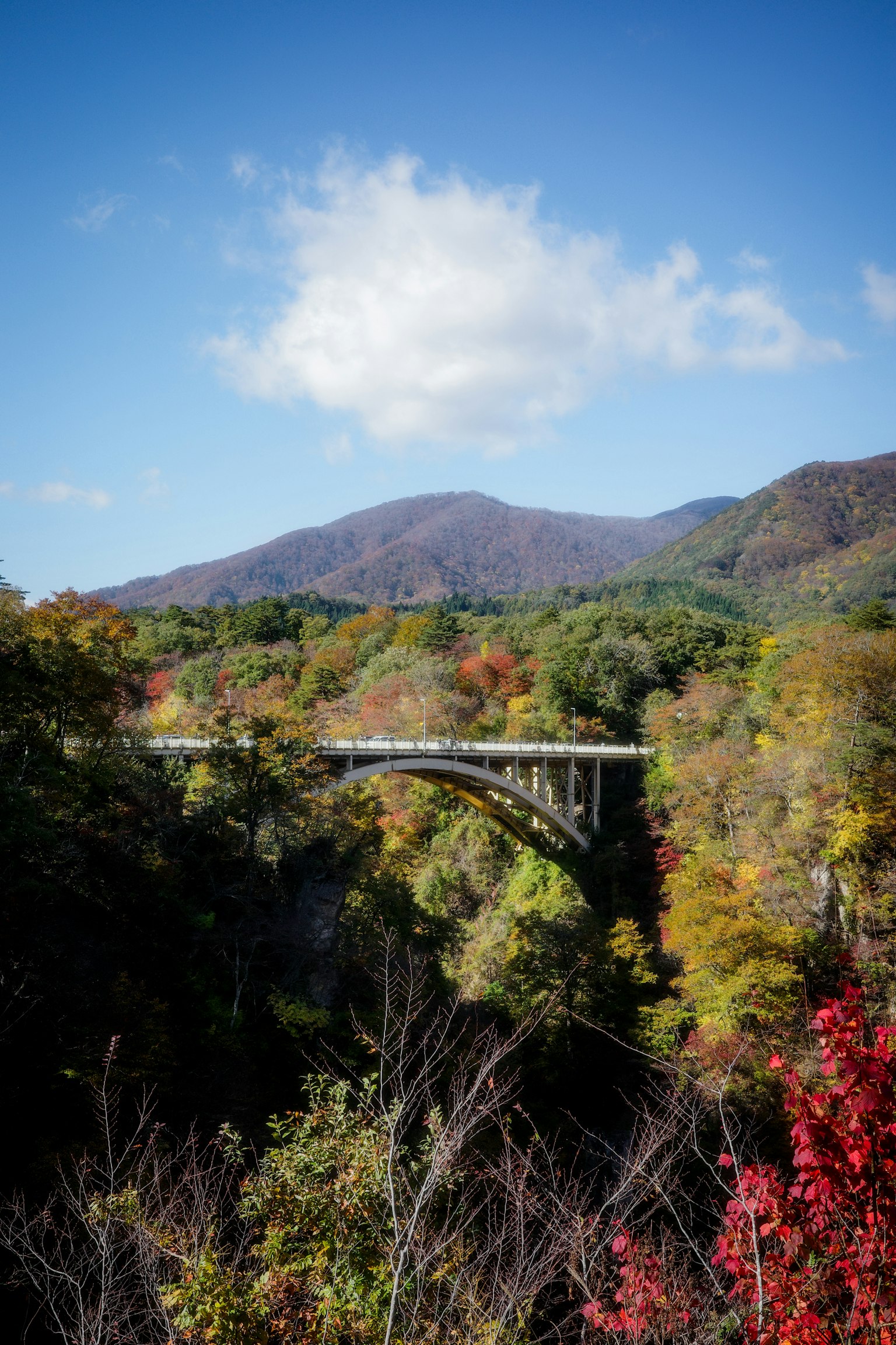 Hermoso paisaje otoñal con árboles coloridos y montañas con un puente