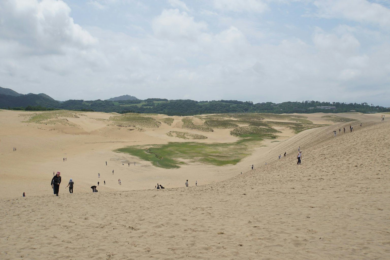 Extensas dunas de arena con praderas verdes al fondo y personas caminando