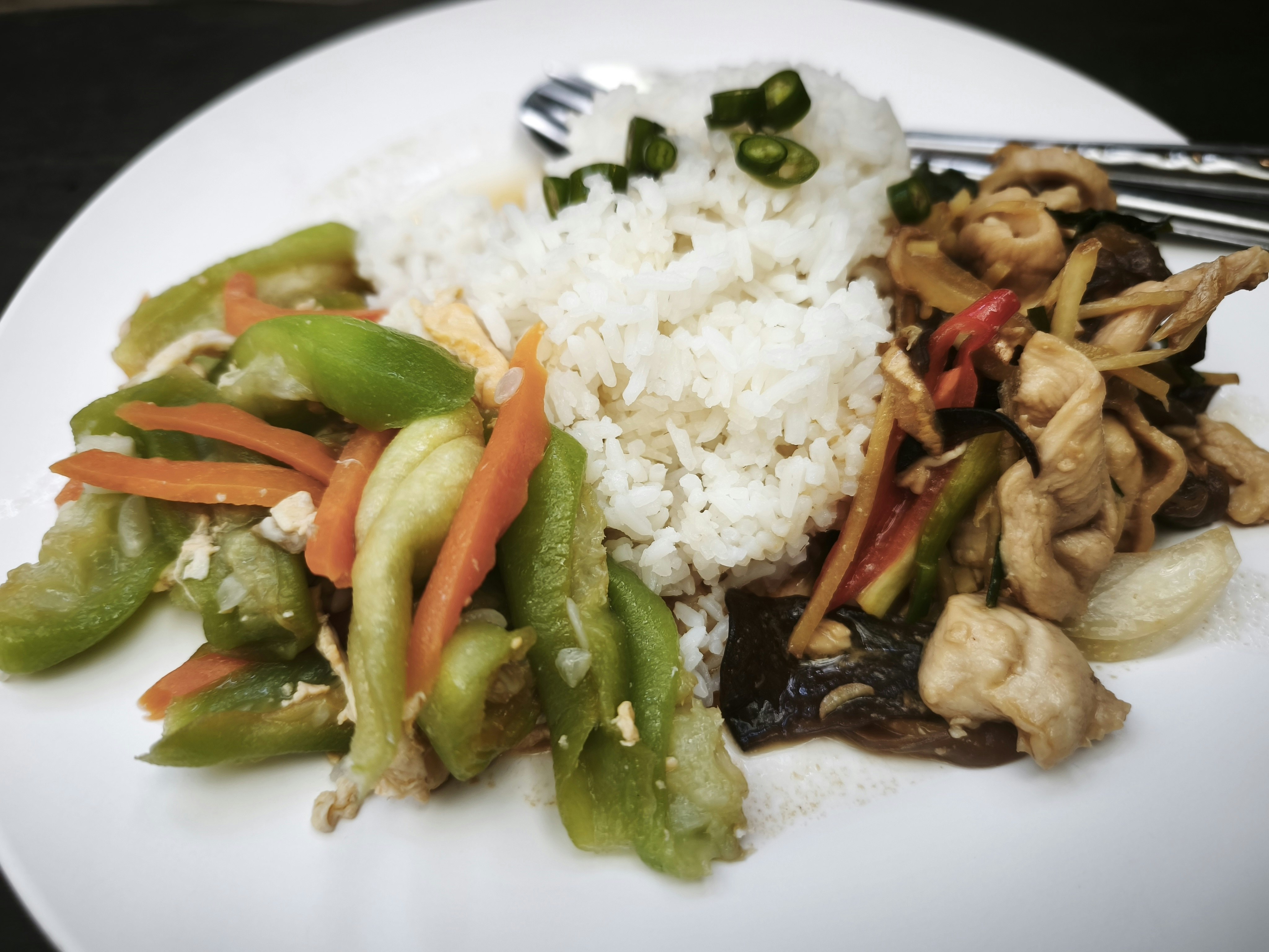 白い皿に盛られたご飯と野菜、肉のプレート