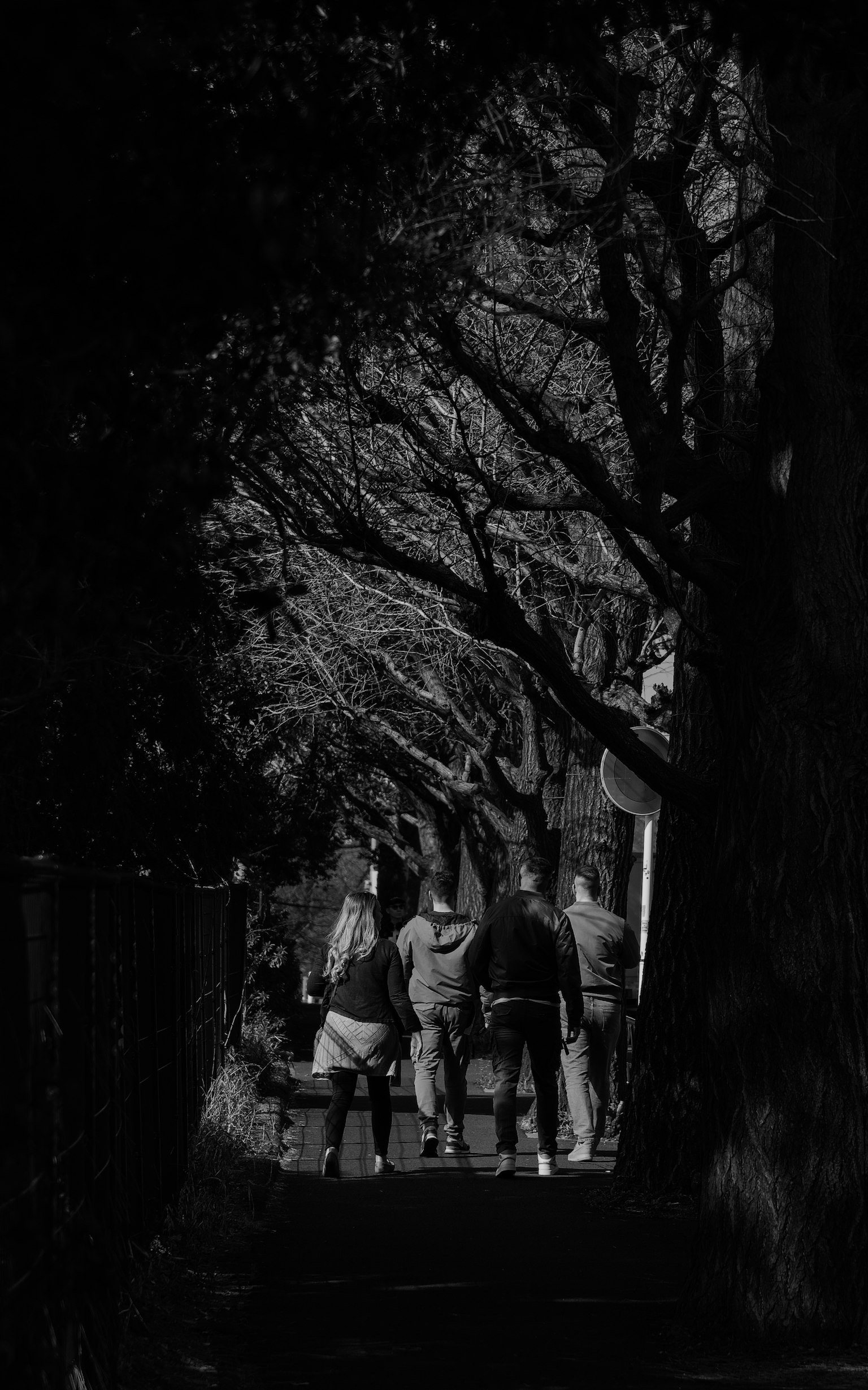 Silhouettes de jeunes marchant le long d'un chemin sombre avec des arbres surplombants