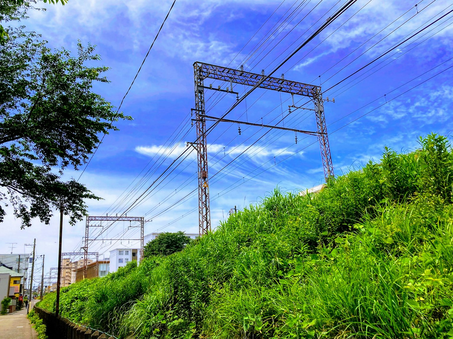 Linee ferroviarie aeree contro un cielo blu vibrante e erba verde lussureggiante