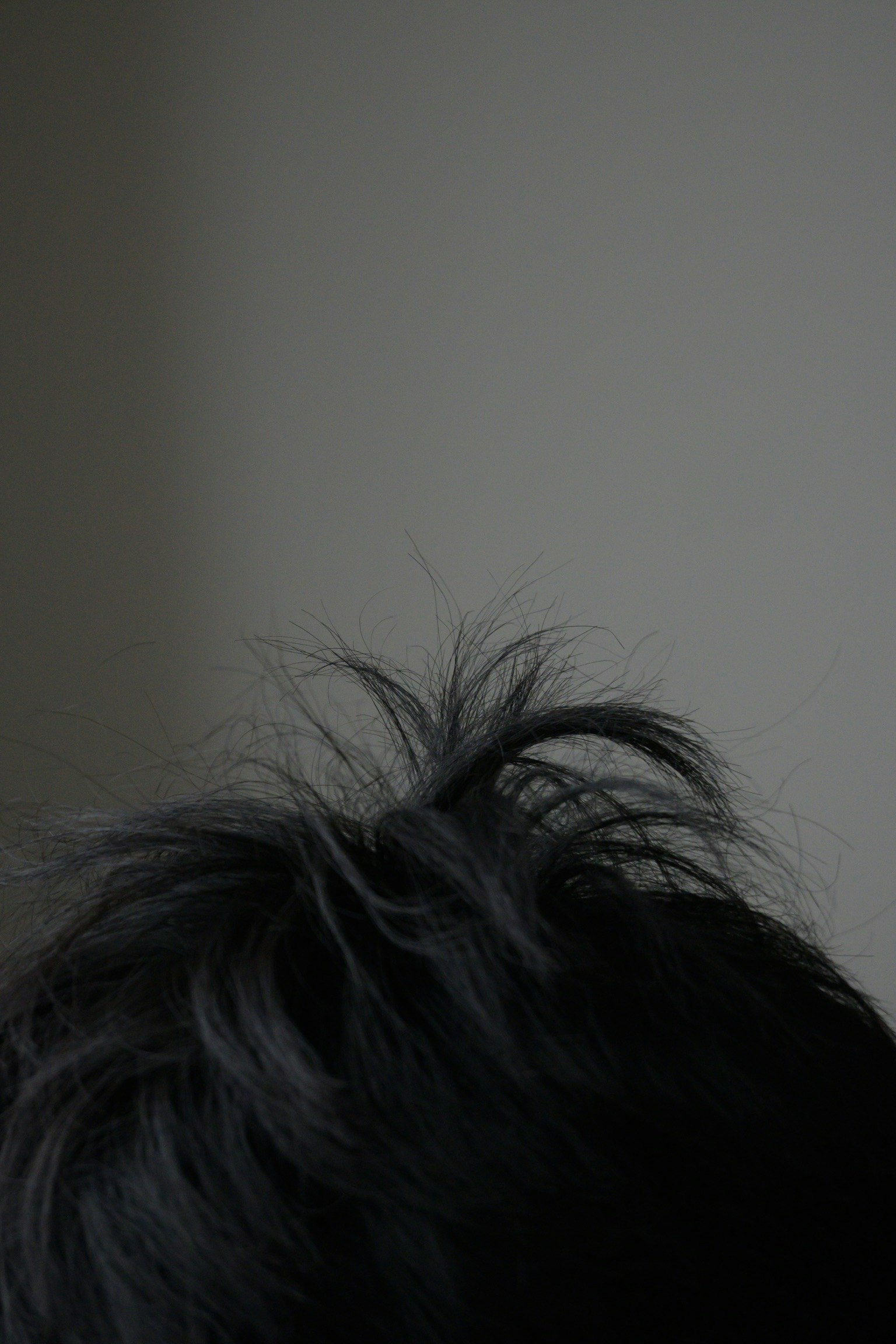 黒い髪の毛が少し立っている頭部の一部