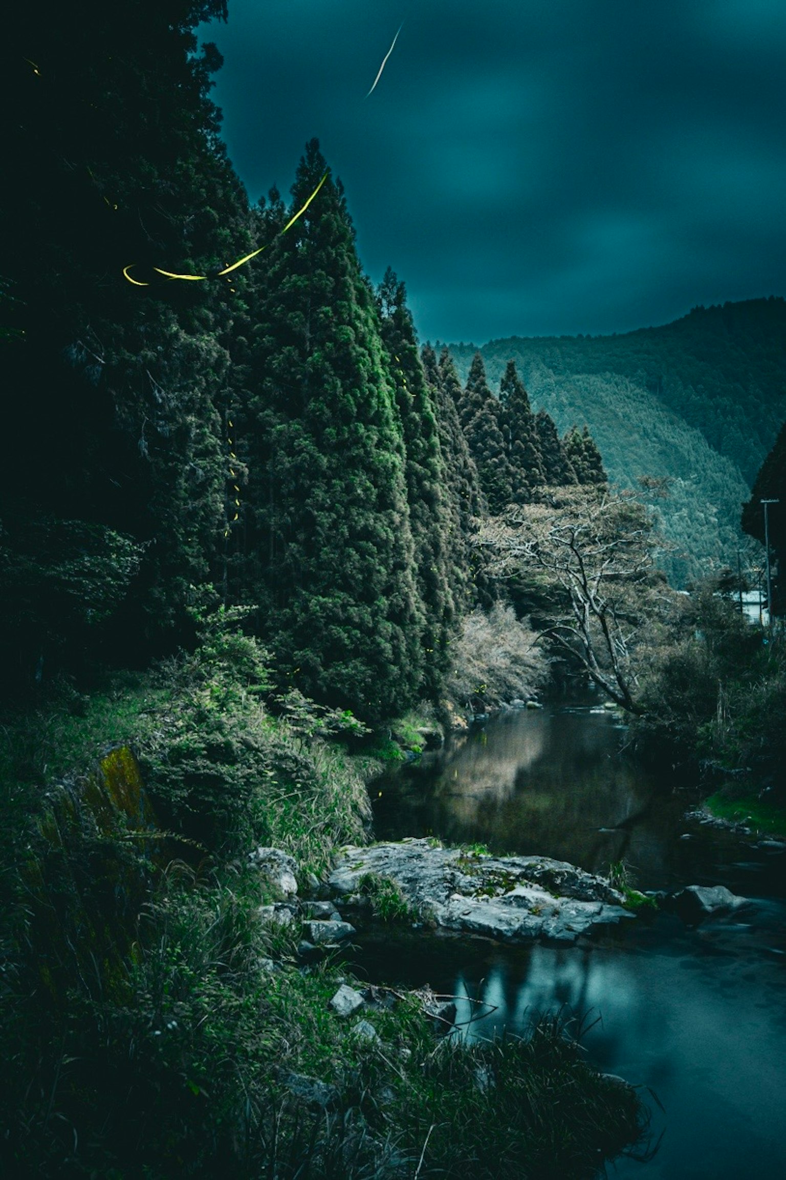 Ruhige Landschaft mit grünen Bäumen und einem ruhigen Fluss unter einem dunklen blauen Himmel