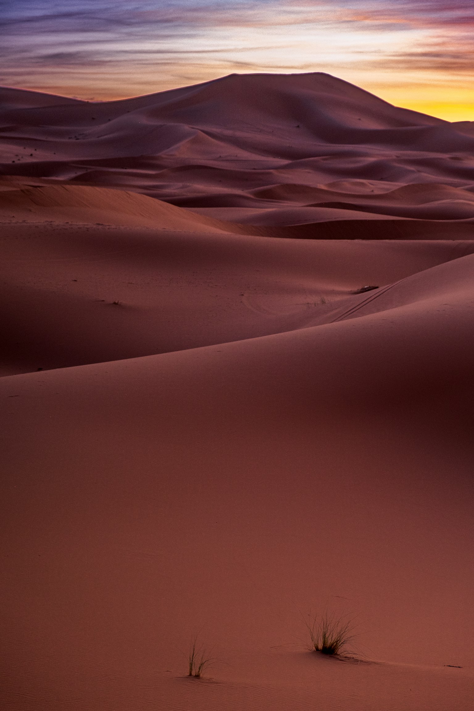 photo-WRhzm9E3a1wzRrQ9Afy0-image
