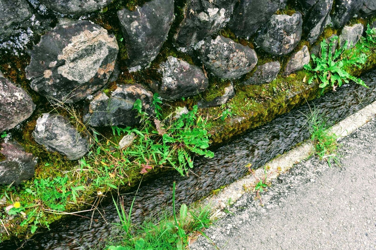 Foto di un muro di pietra con erba che cresce nel canale
