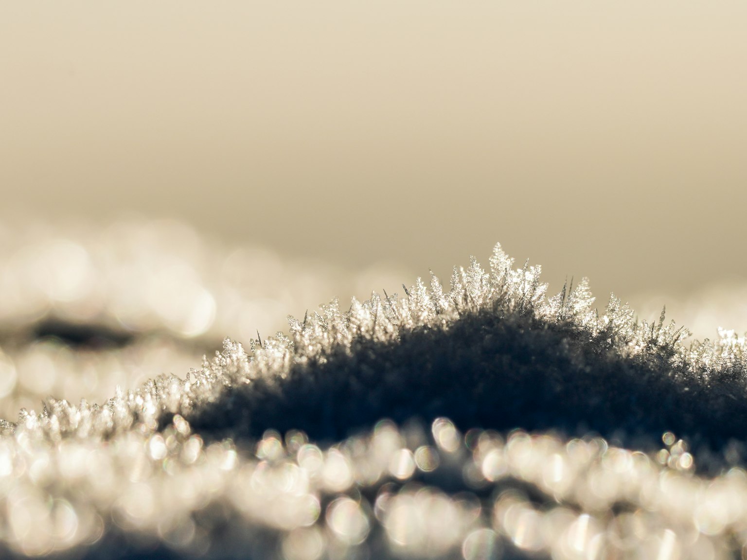 美丽的景观，有雪晶体反射光线