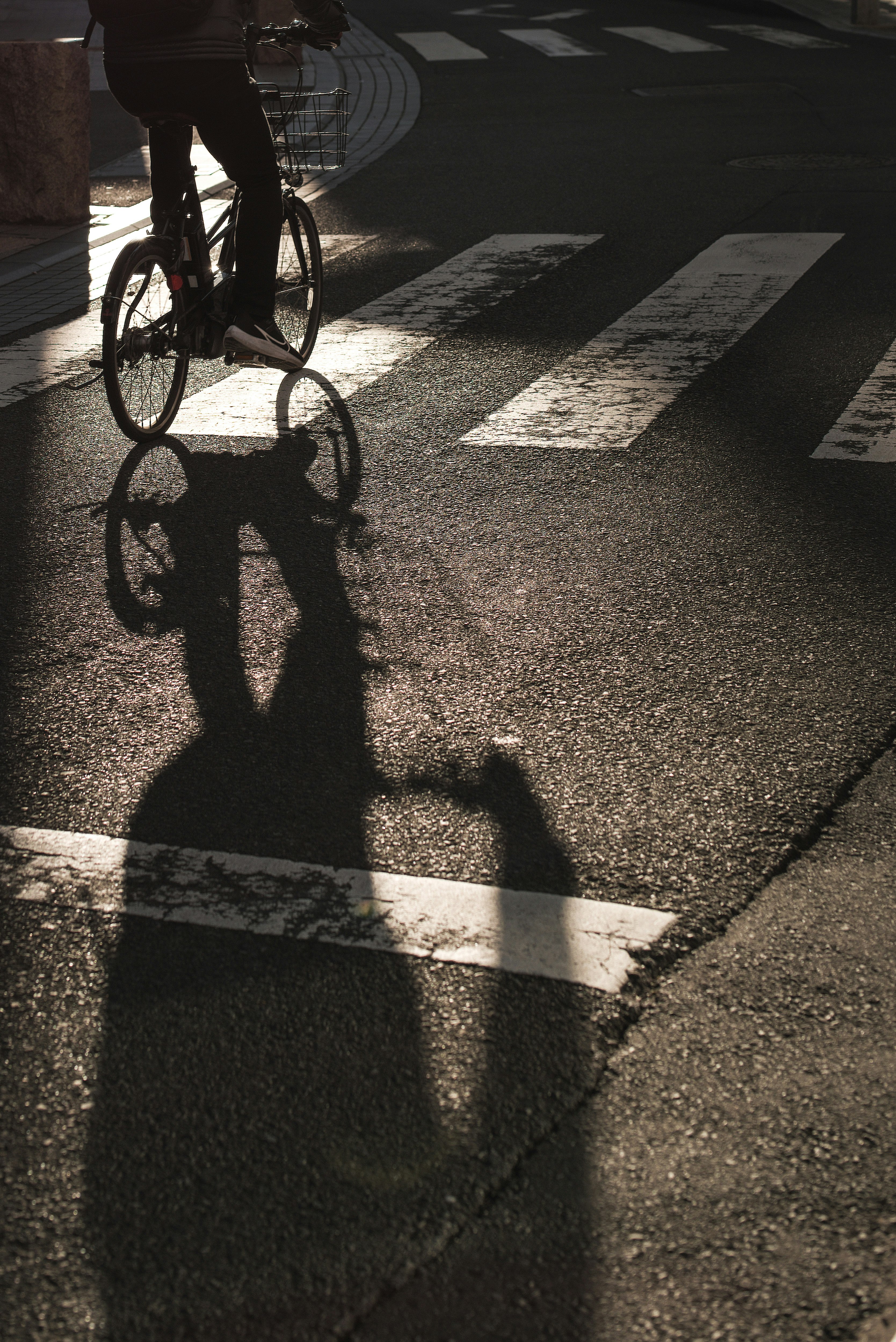 Der Schatten eines Radfahrers auf einem Zebrastreifen mit sonnenbeschienenem Asphalt