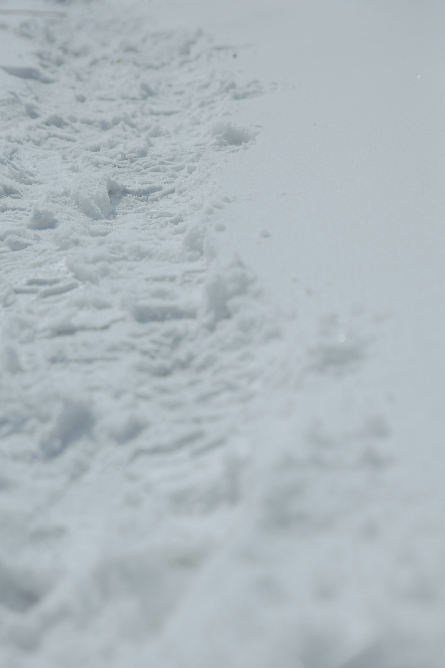 雪上的脚印和白色背景