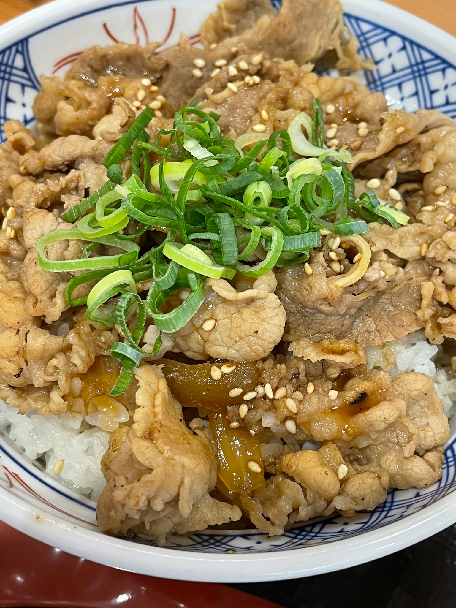 Bol de riz garni de bœuf et d'oignons verts