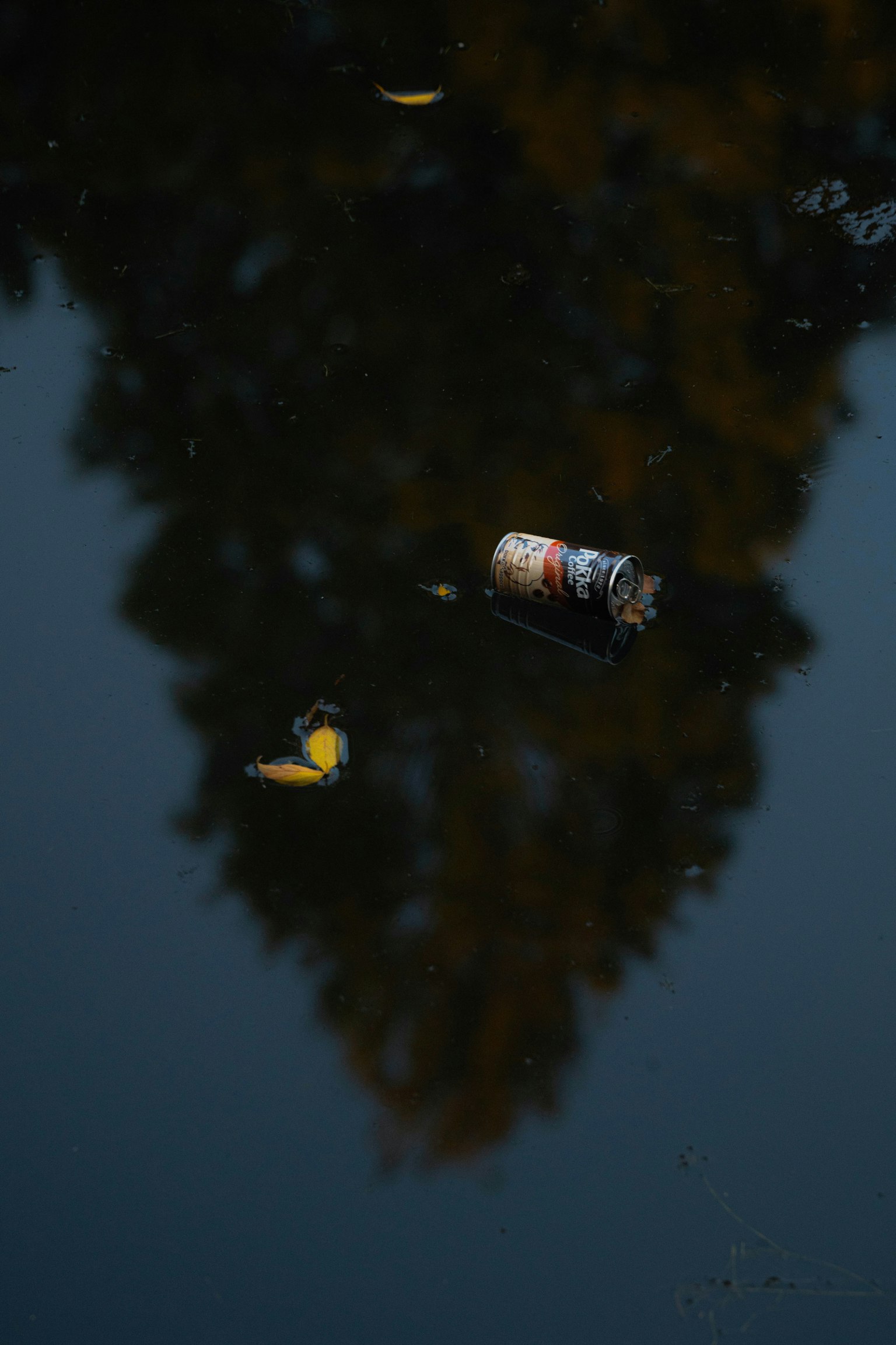 Una lattina e una foglia che galleggiano sull'acqua con riflessi