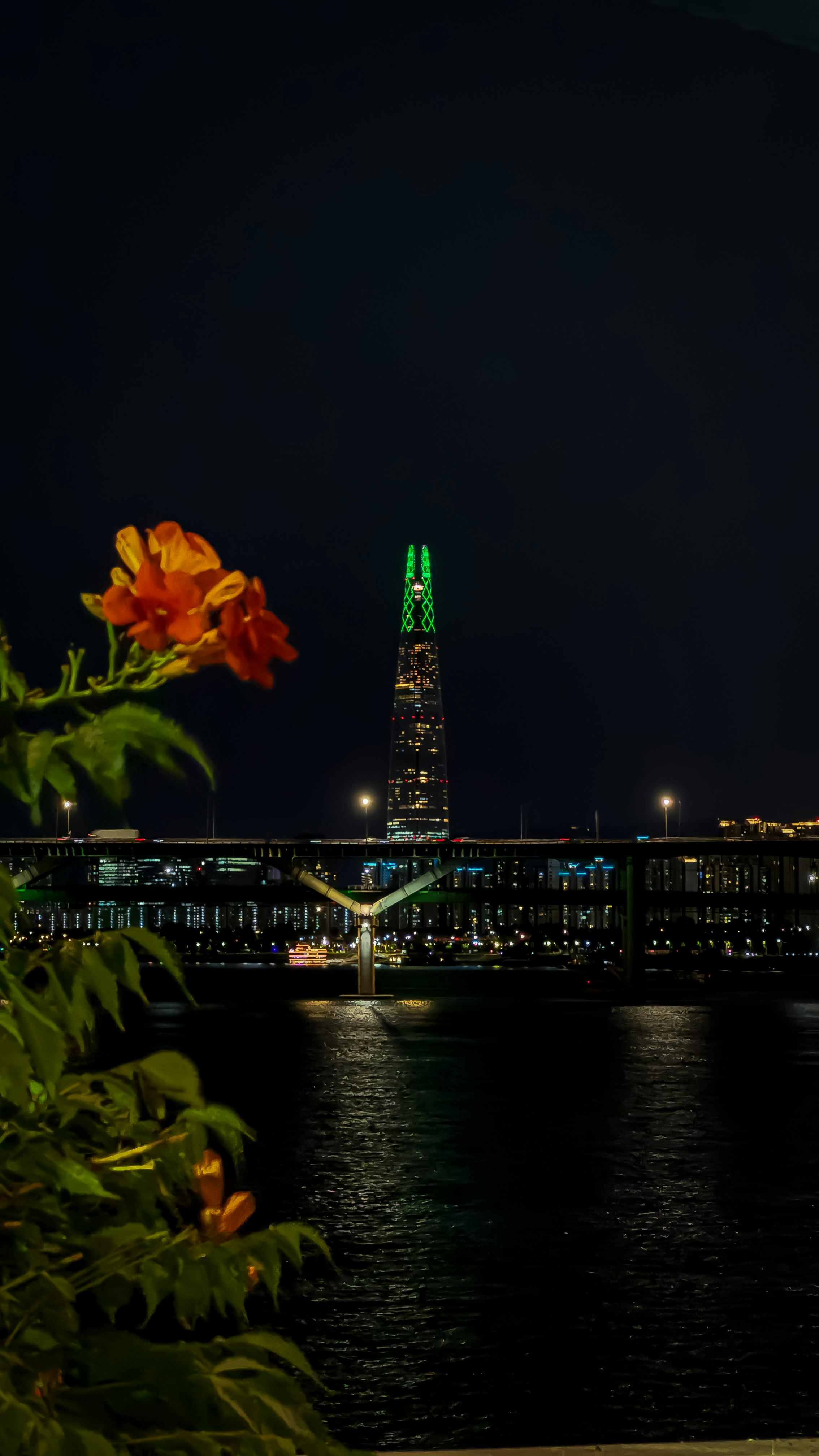 夜の川沿いで咲く黄橙色の花と、遠くにそびえるロッテタワーの夜景