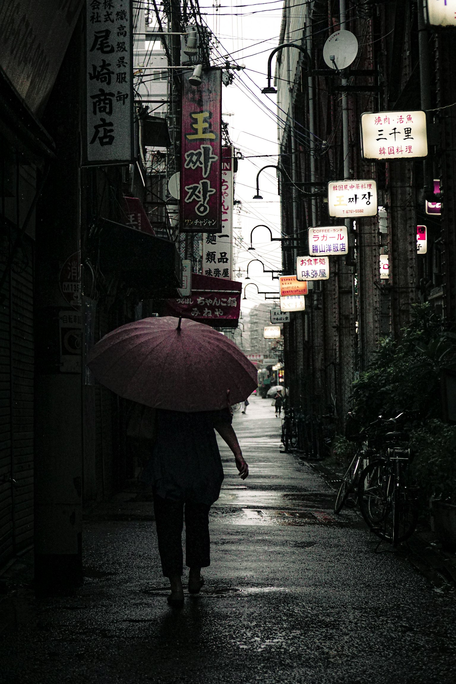 photo-WUhXDqt4AuMrU0Ar1aiU-image