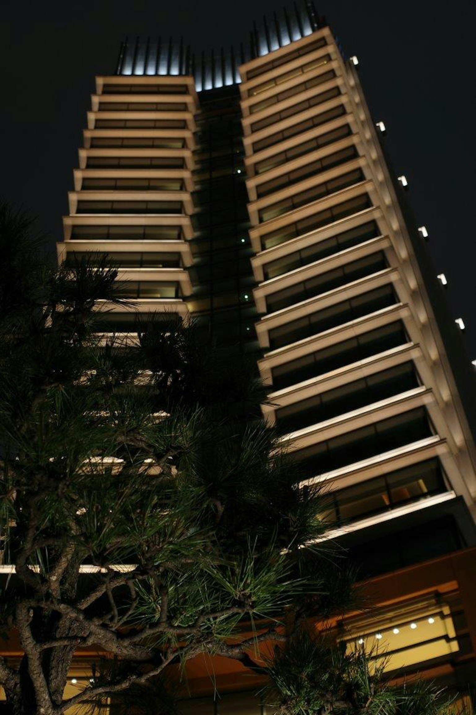 夜间照明的高楼与周围树木的轮廓