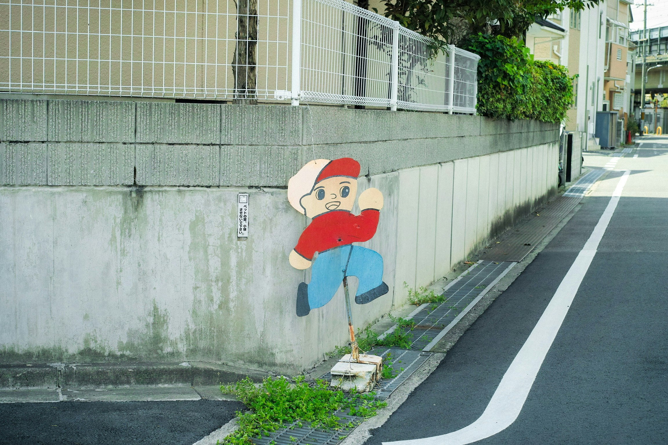 牆面卡通人物塗鴉與路邊小綠植的巷道