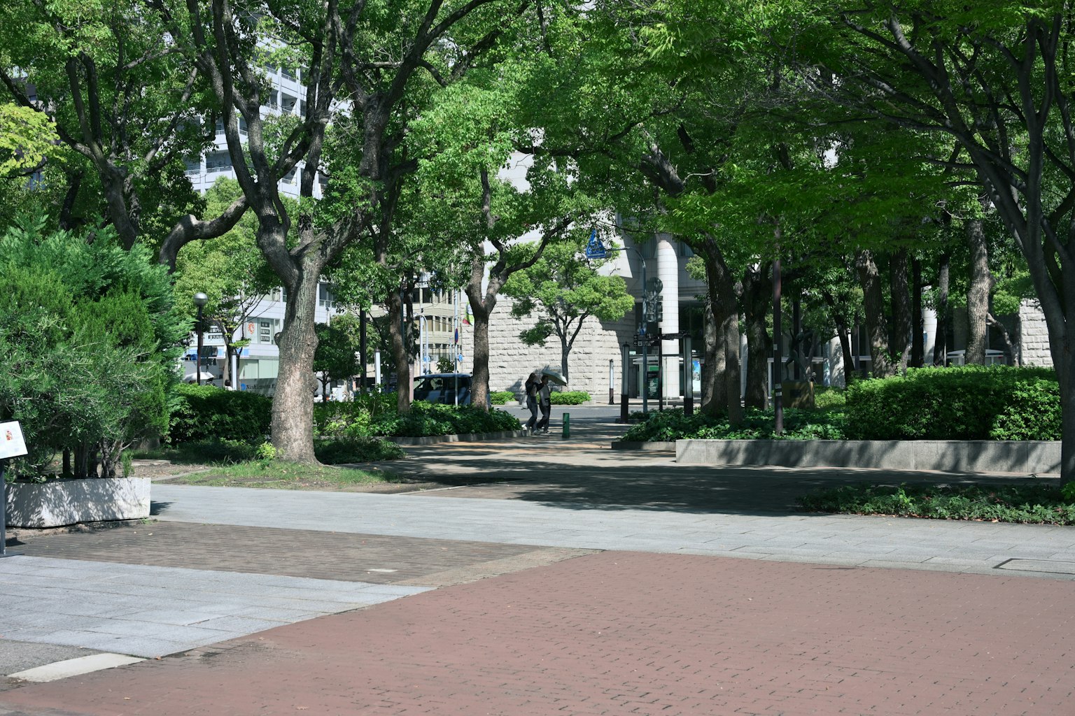 Lush park scenery with paved pathways