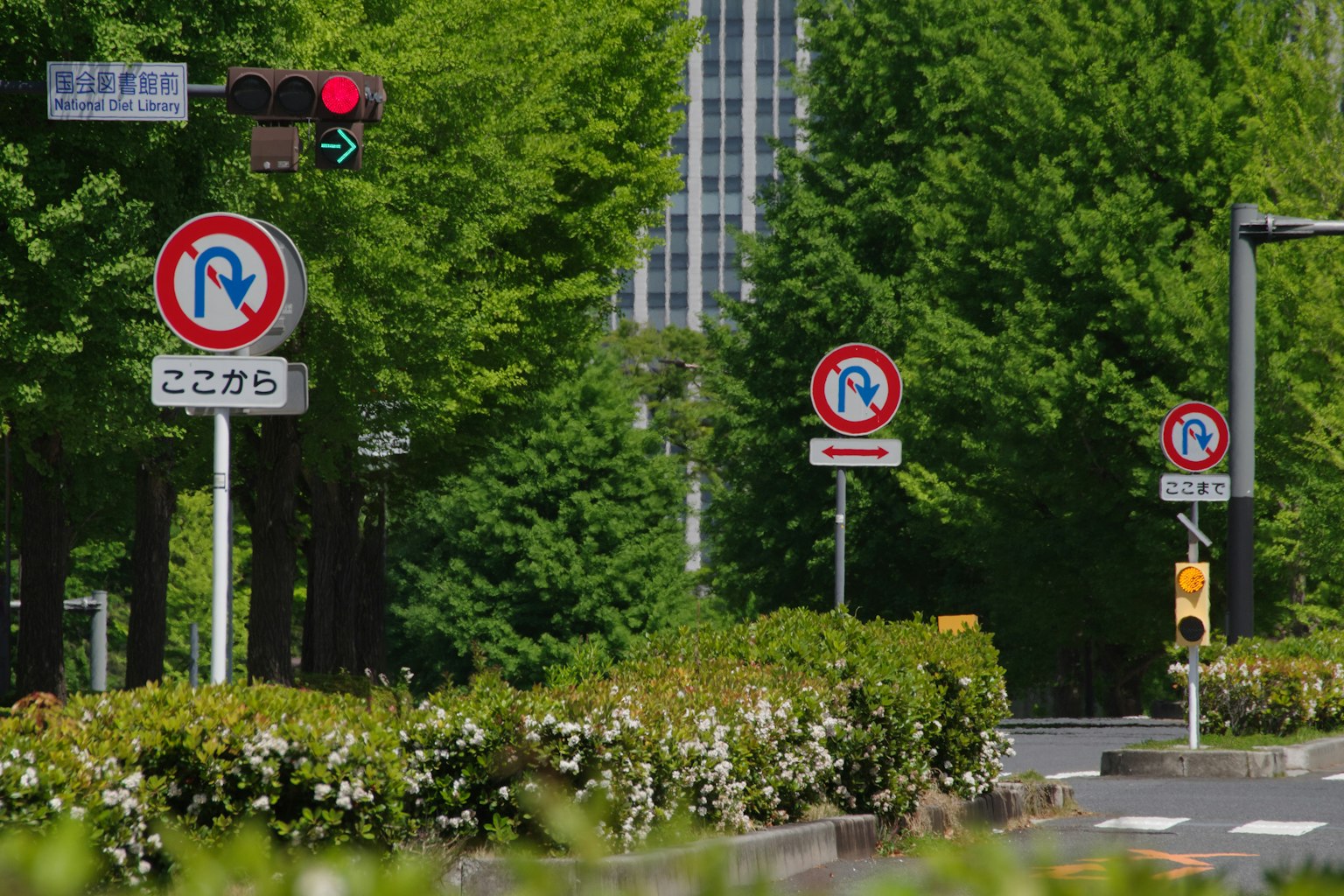 Städtische Straße mit grünen Bäumen und Verkehrsschildern