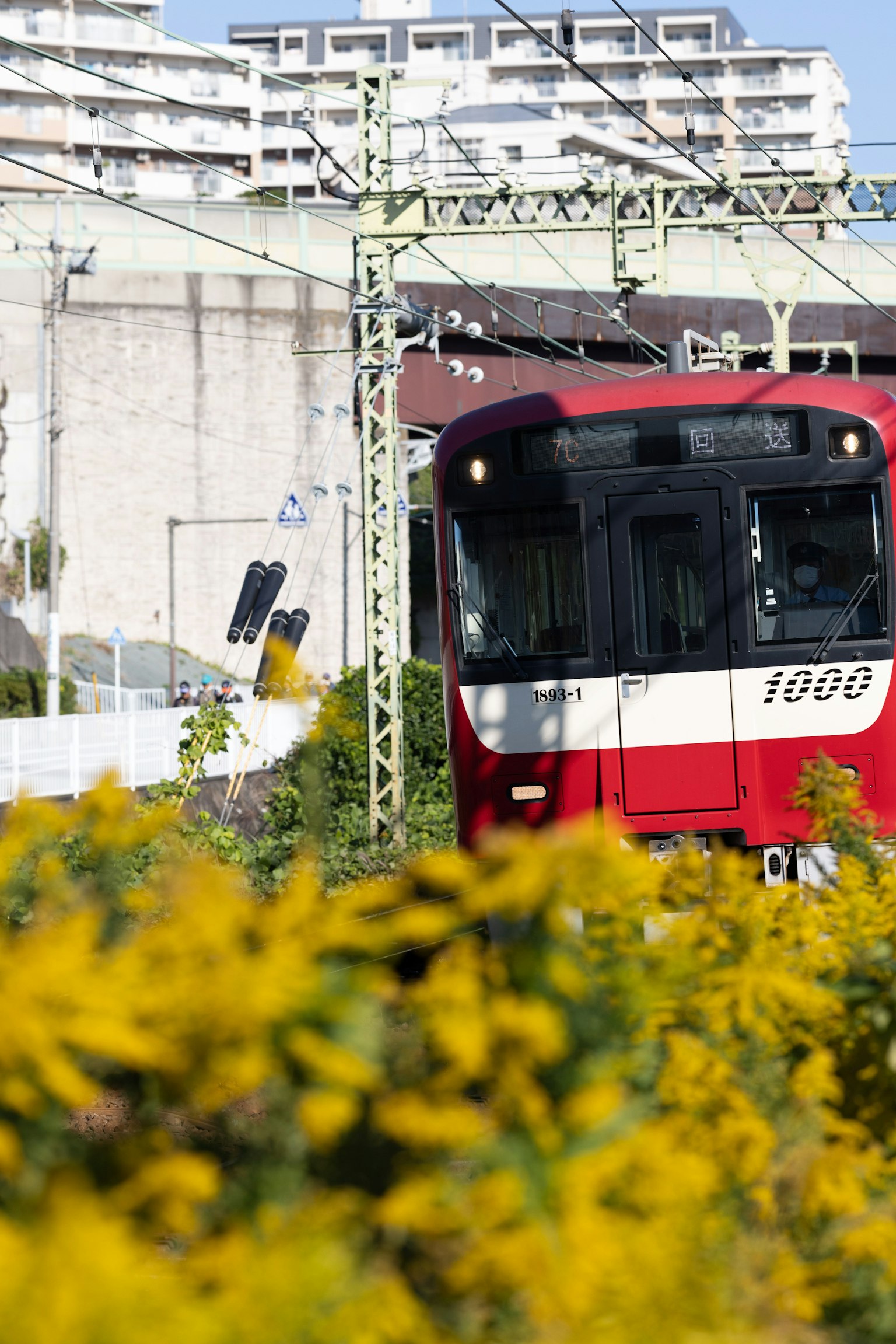 紅色火車穿過黃色花朵，背景是建築物