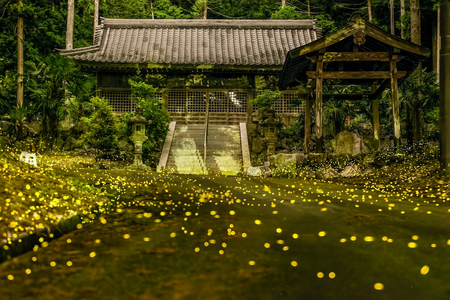 传统日本寺庙被发光的萤火虫环绕在郁郁葱葱的森林中