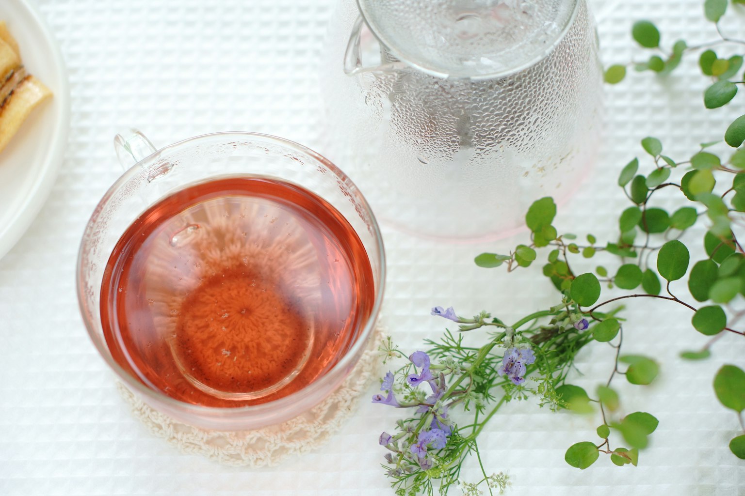 Durchsichtige Tasse mit rotem Kräutertee umgeben von grünen Blättern und Blumen