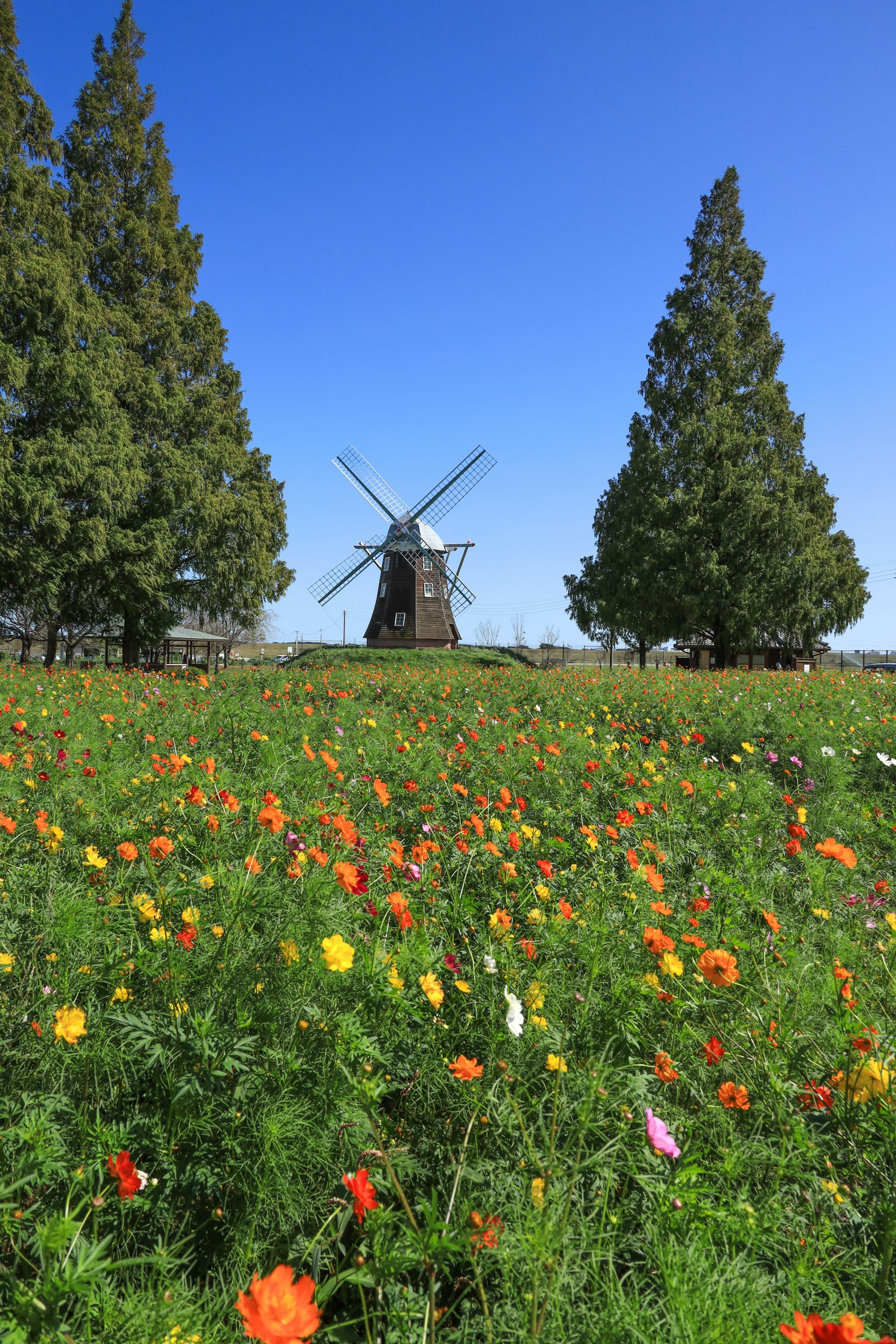 Landschaft mit einer Windmühle und einem Blumenfeld unter blauem Himmel und grünen Bäumen
