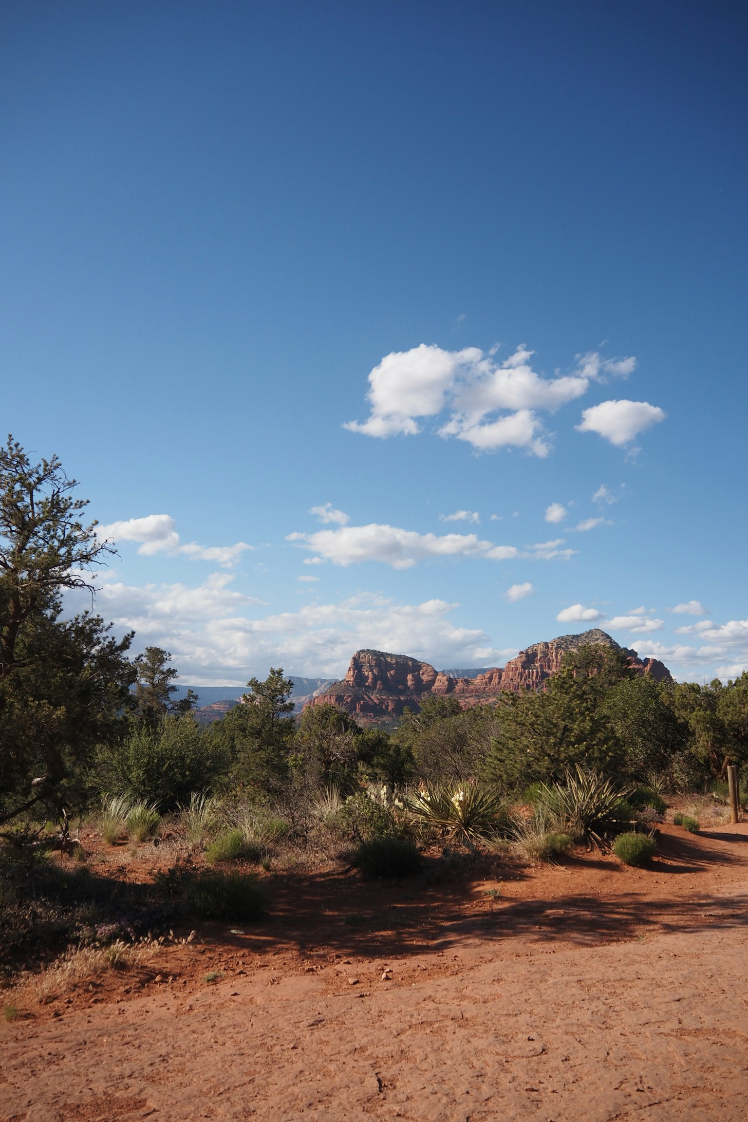 Paysage de roches rouges sous un ciel bleu avec des arbres éparpillés