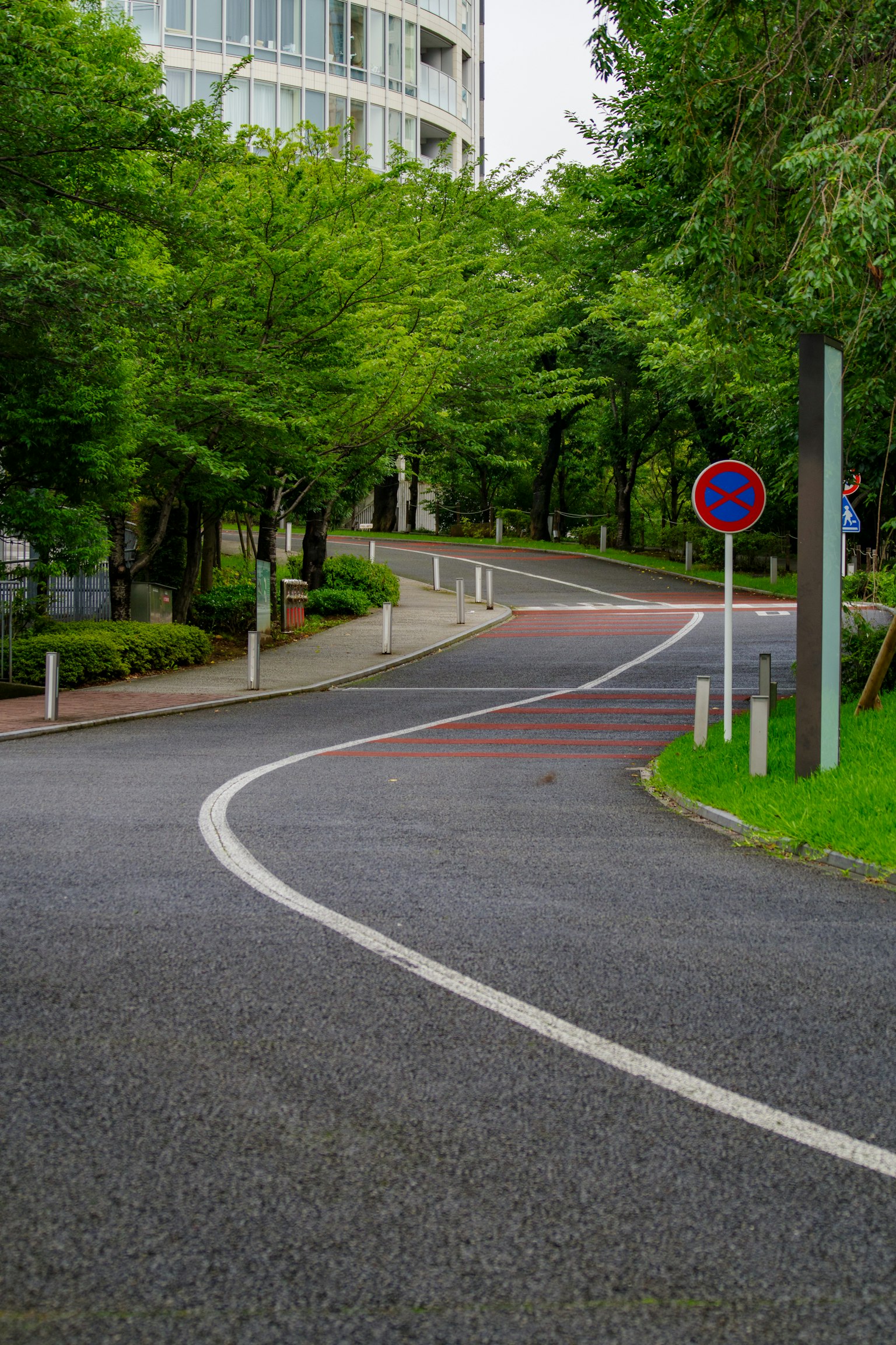 彎曲的道路被綠樹環繞，設有交通標誌