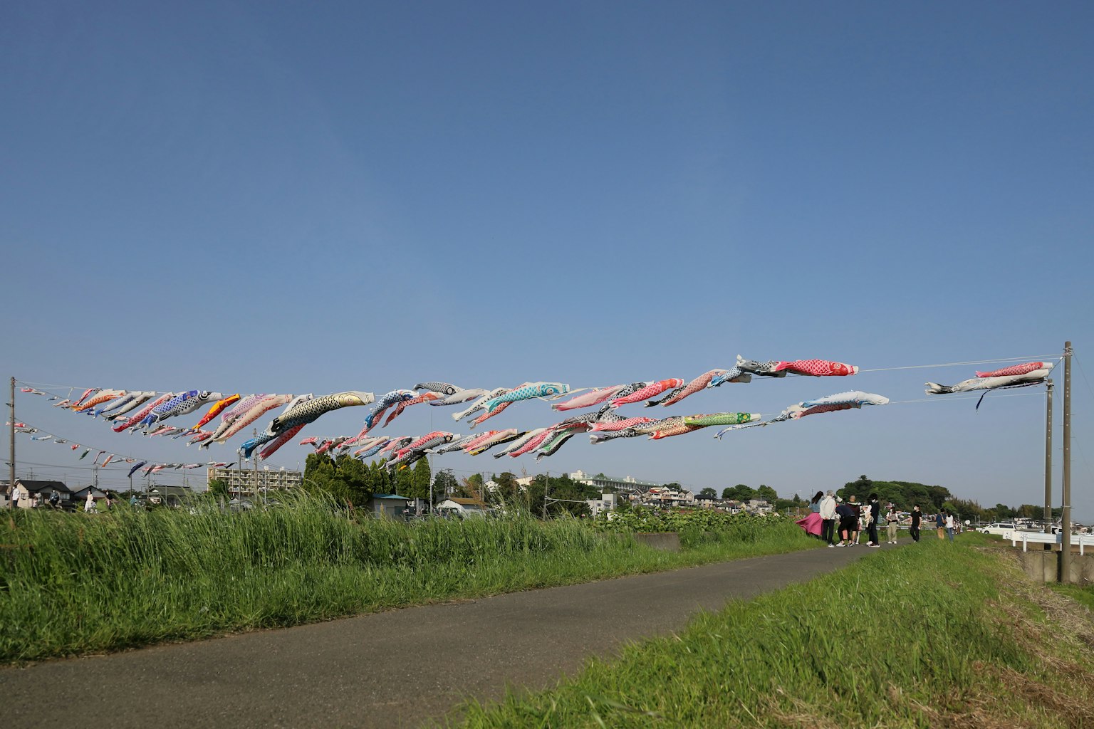 Bendera berwarna-warni berkibar di bawah langit biru