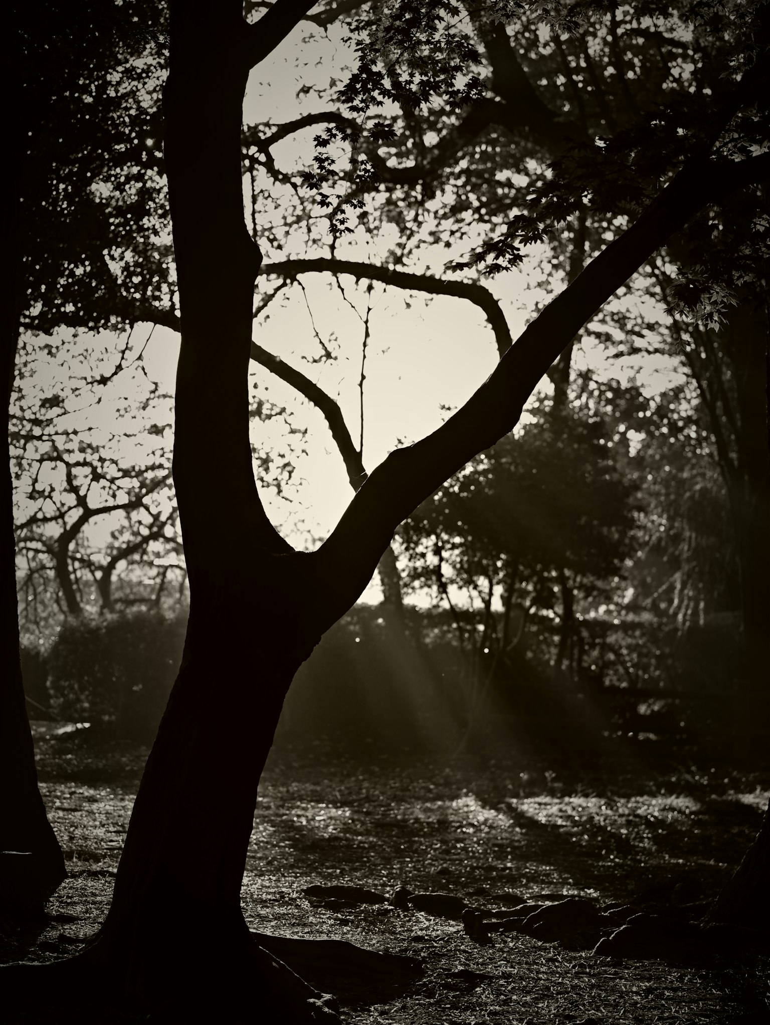 photo-WYQ8WjBvflGQmIVb0mD6-image