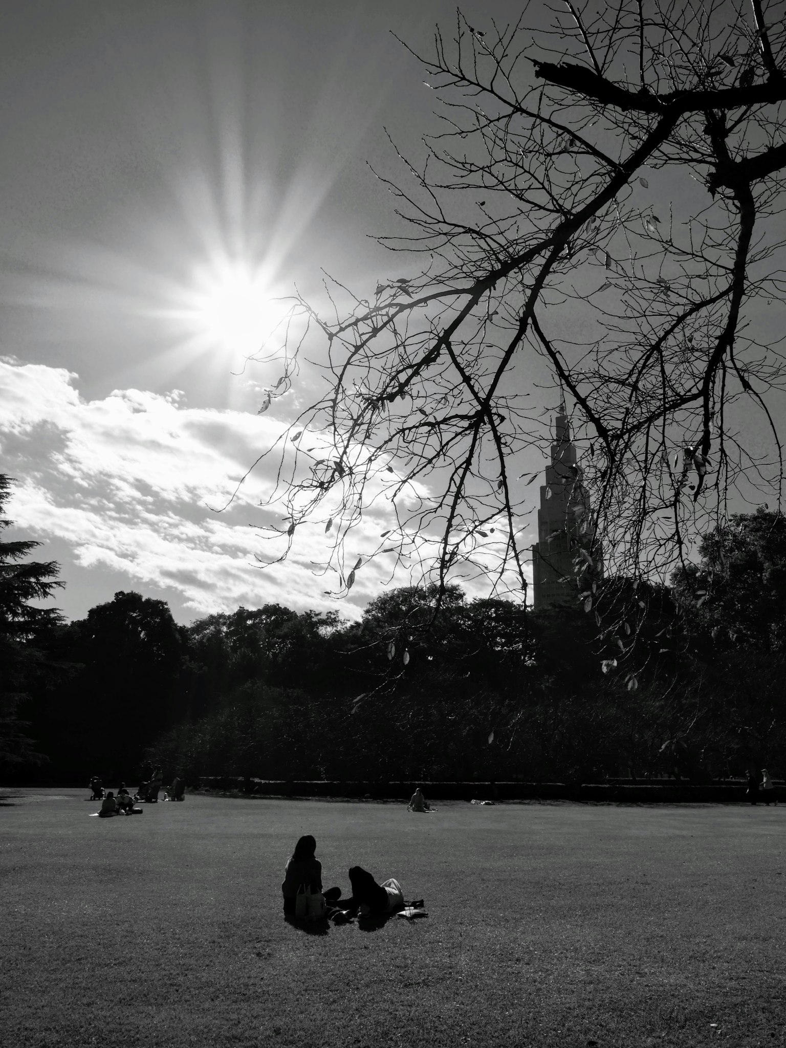 Schwarzweißfoto von Menschen, die sich auf dem Parkrasen entspannen, mit einem hohen Turm im Hintergrund
