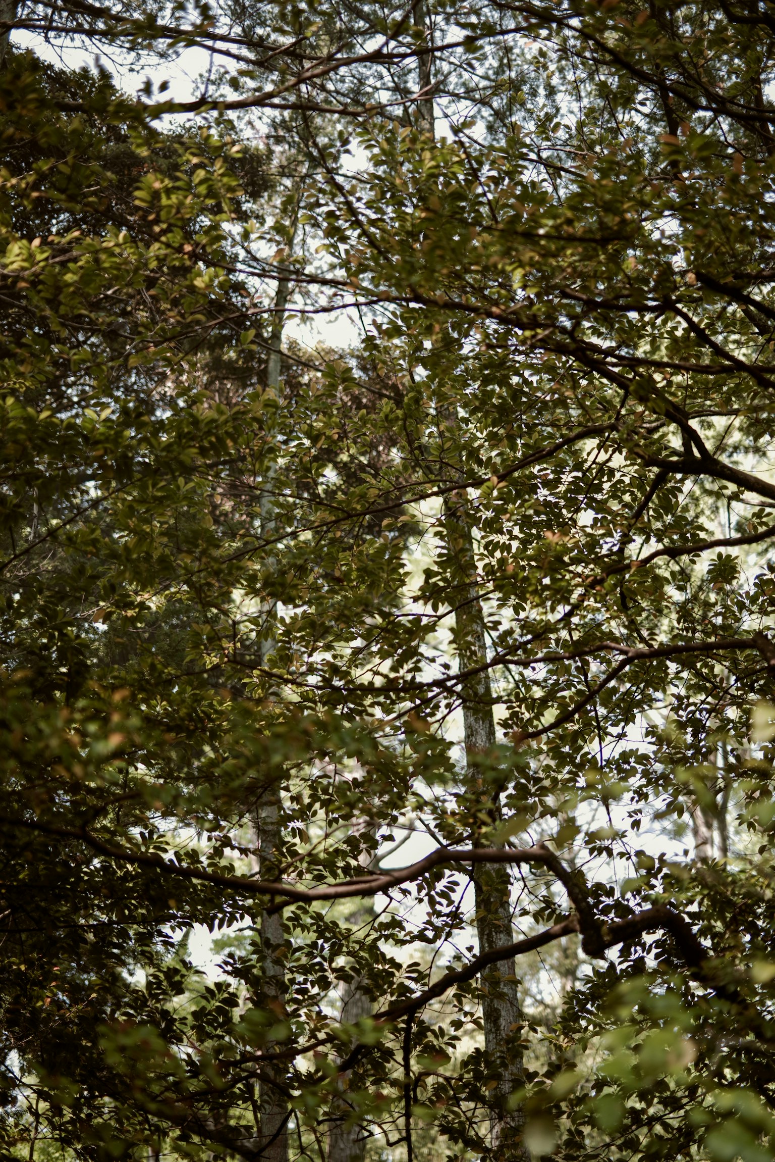 photo-WZ4vBrhmta1p4QhrByU3-image