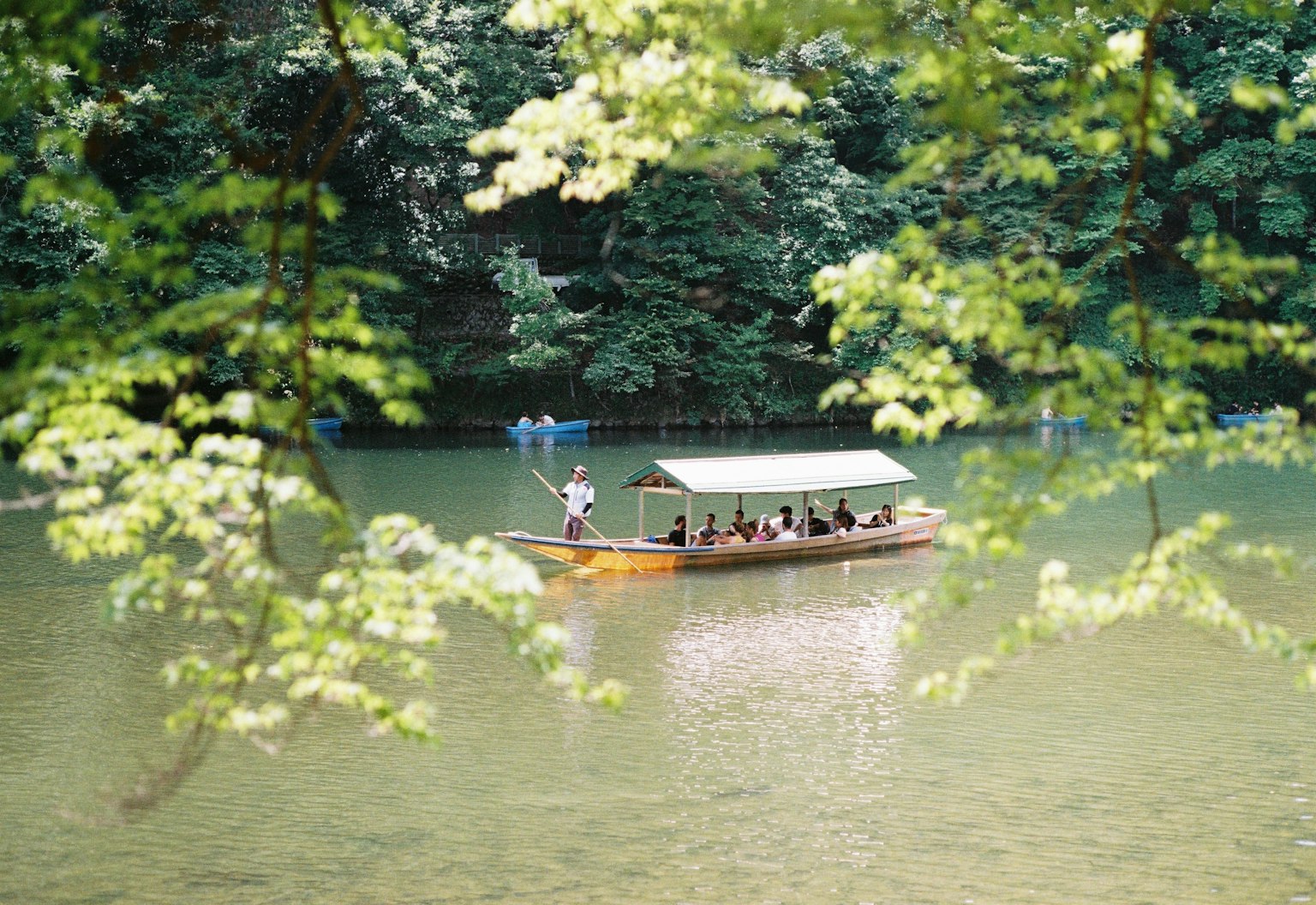 A small boat with passengers navigating through a lush green forested area