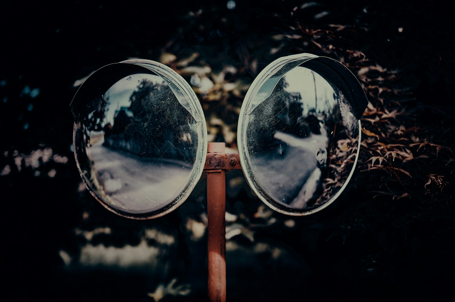 大きなレンズのサングラスが風景を映し出している