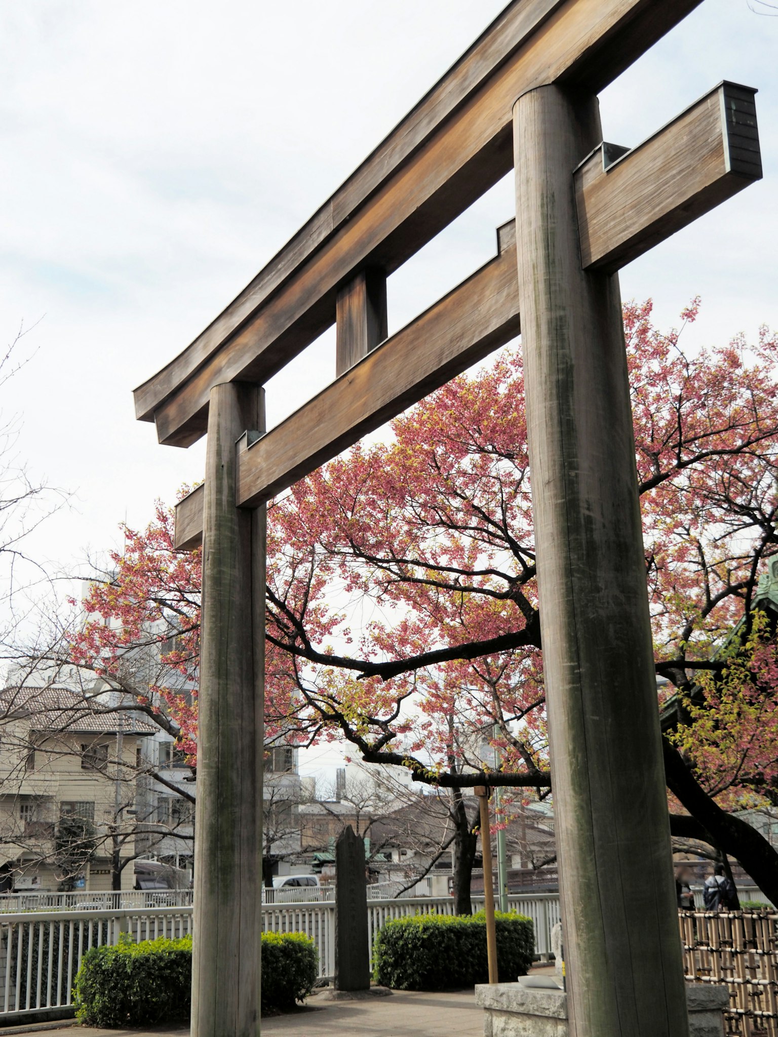 Holztorii mit Kirschbäumen in einem Park