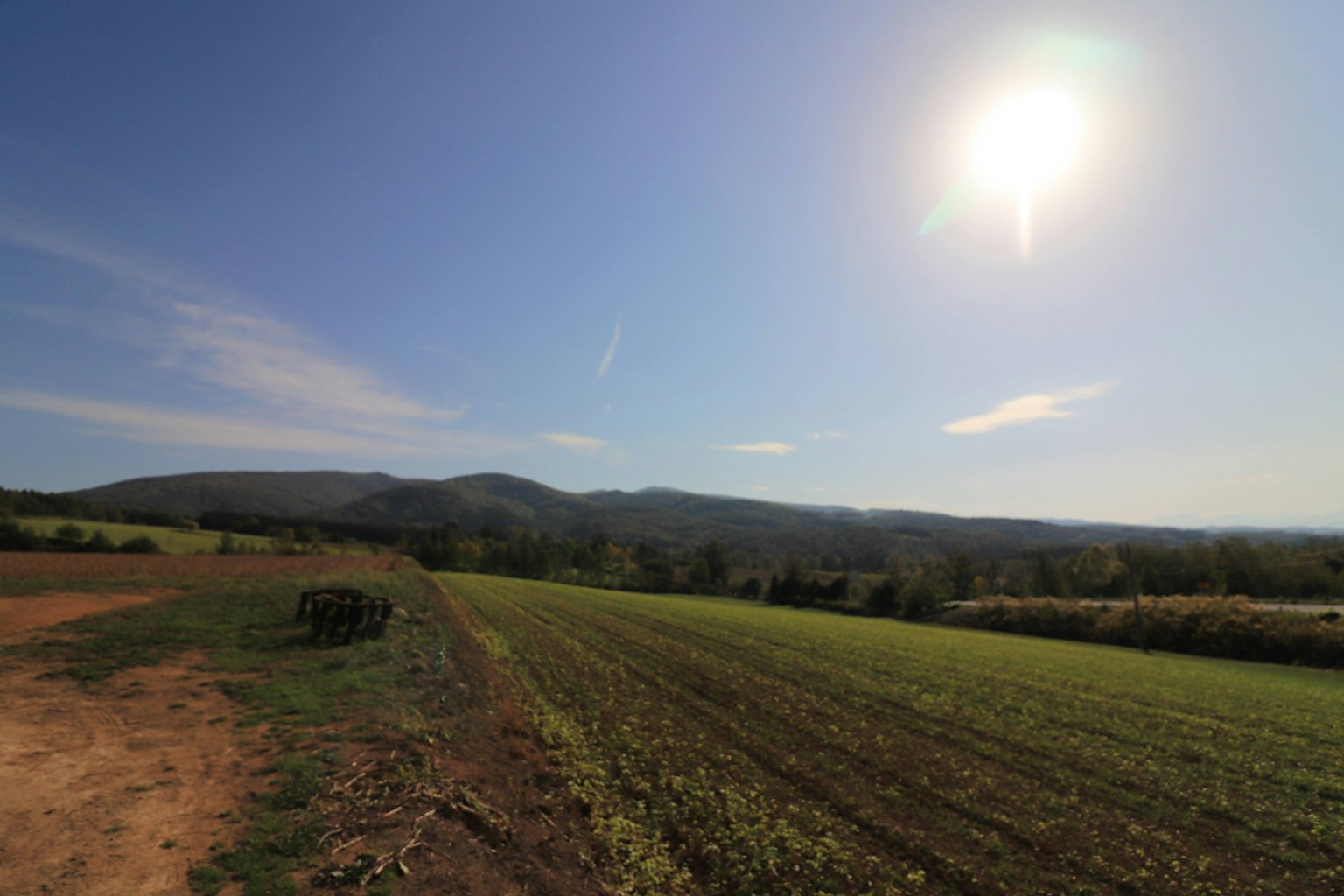 Terreno agricolo verde sotto un cielo limpido e un sole luminoso con montagne in lontananza
