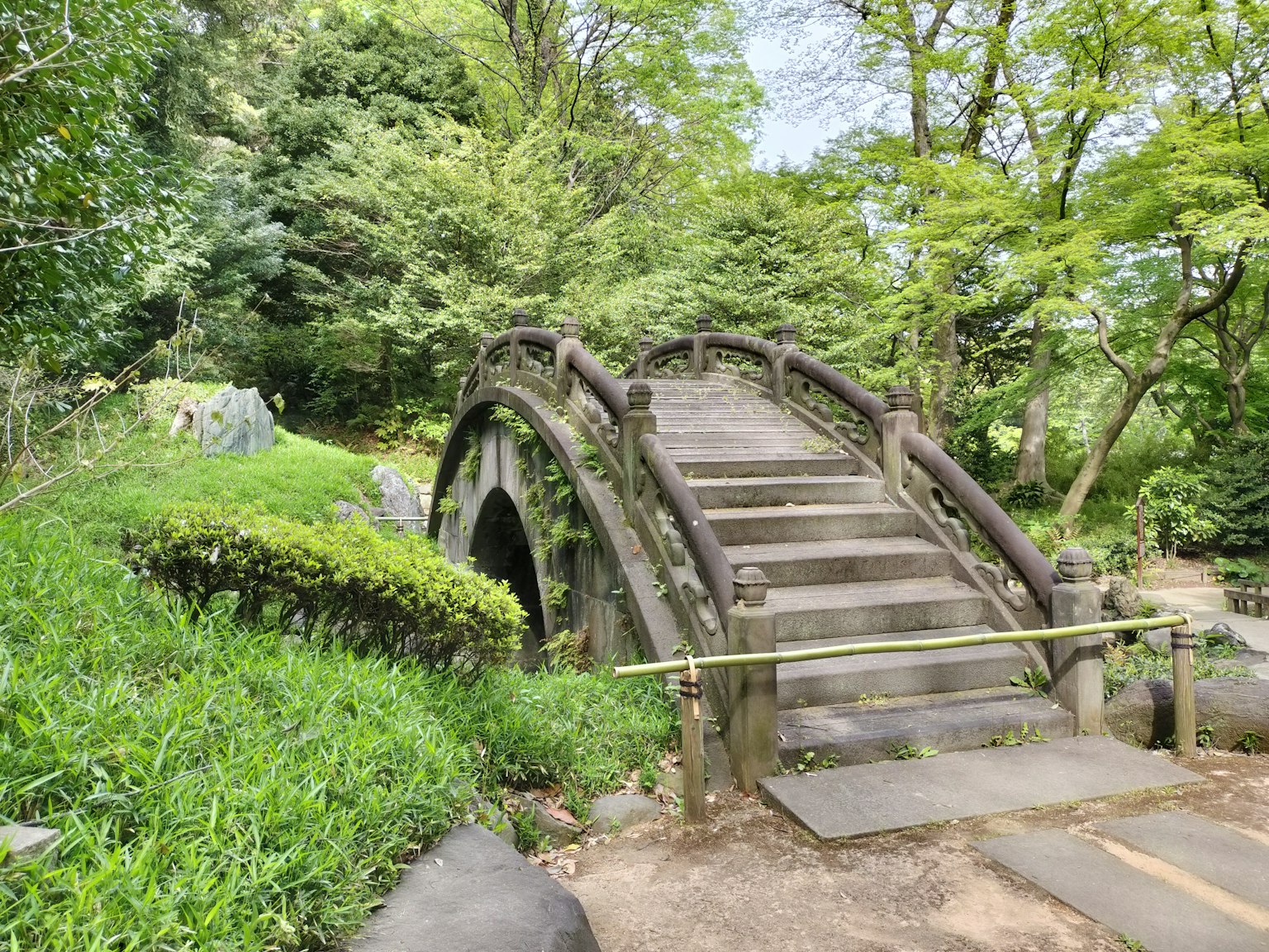 Eine schöne Bogenbrücke, umgeben von üppigem Grün in einem Park