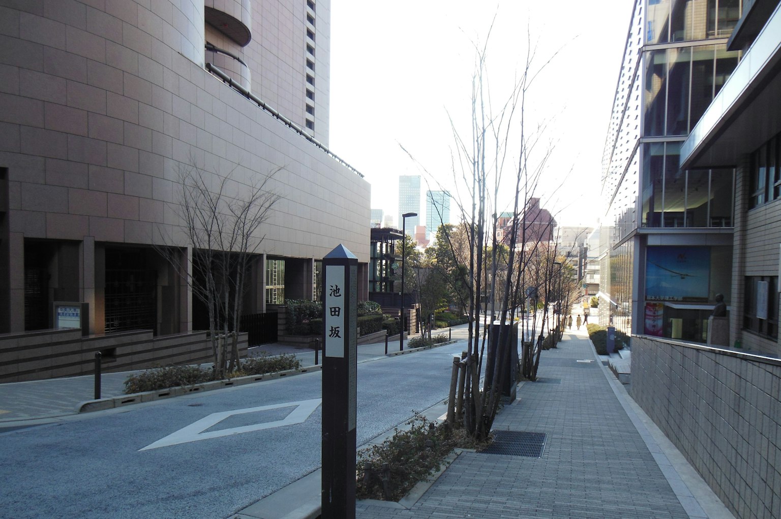 城市街道，现代建筑和光秃树木