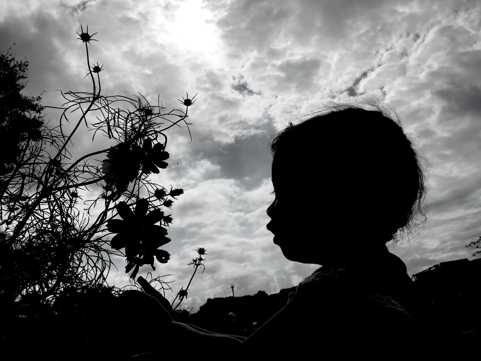 Silhouette eines Kindes, das Blumen gegen einen bewölkten Himmel betrachtet