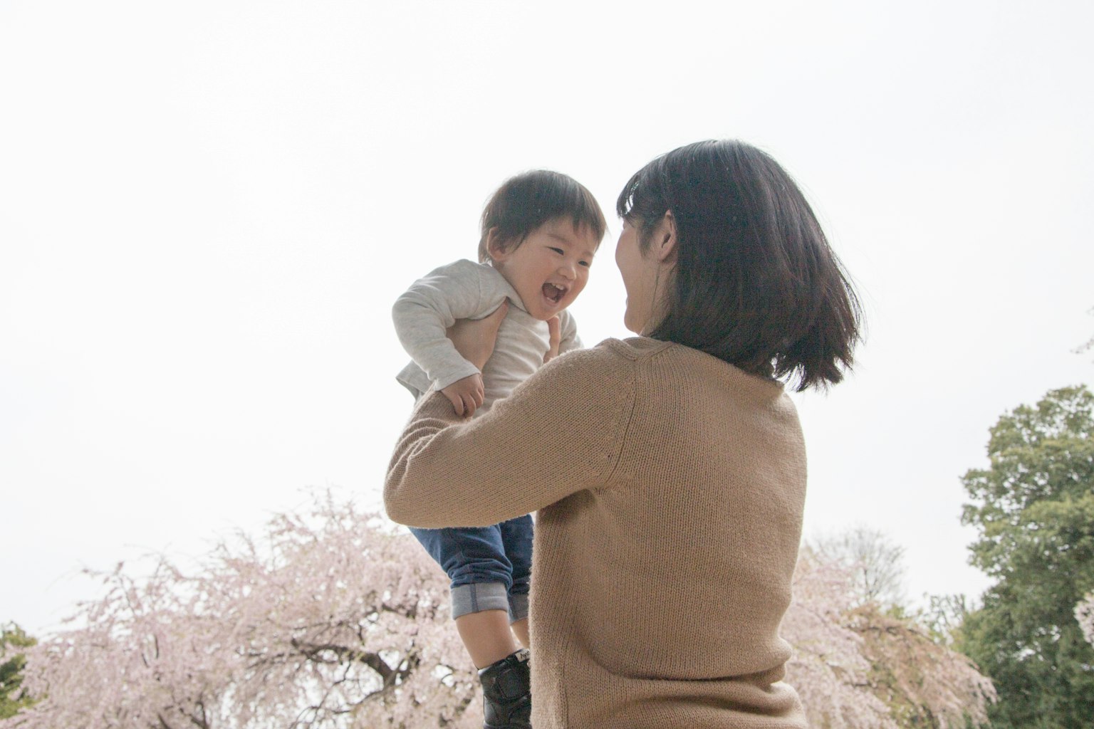 A mother holding her child under a cherry blossom tree