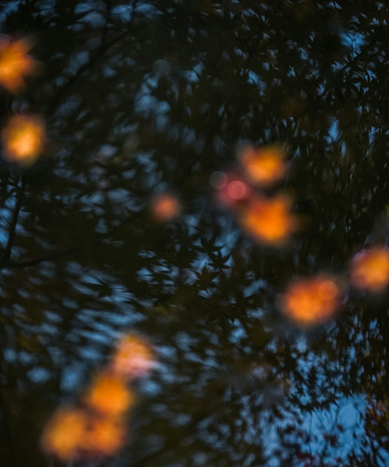 Réflexion floue de fleurs orange sur l'eau avec un fond bleu