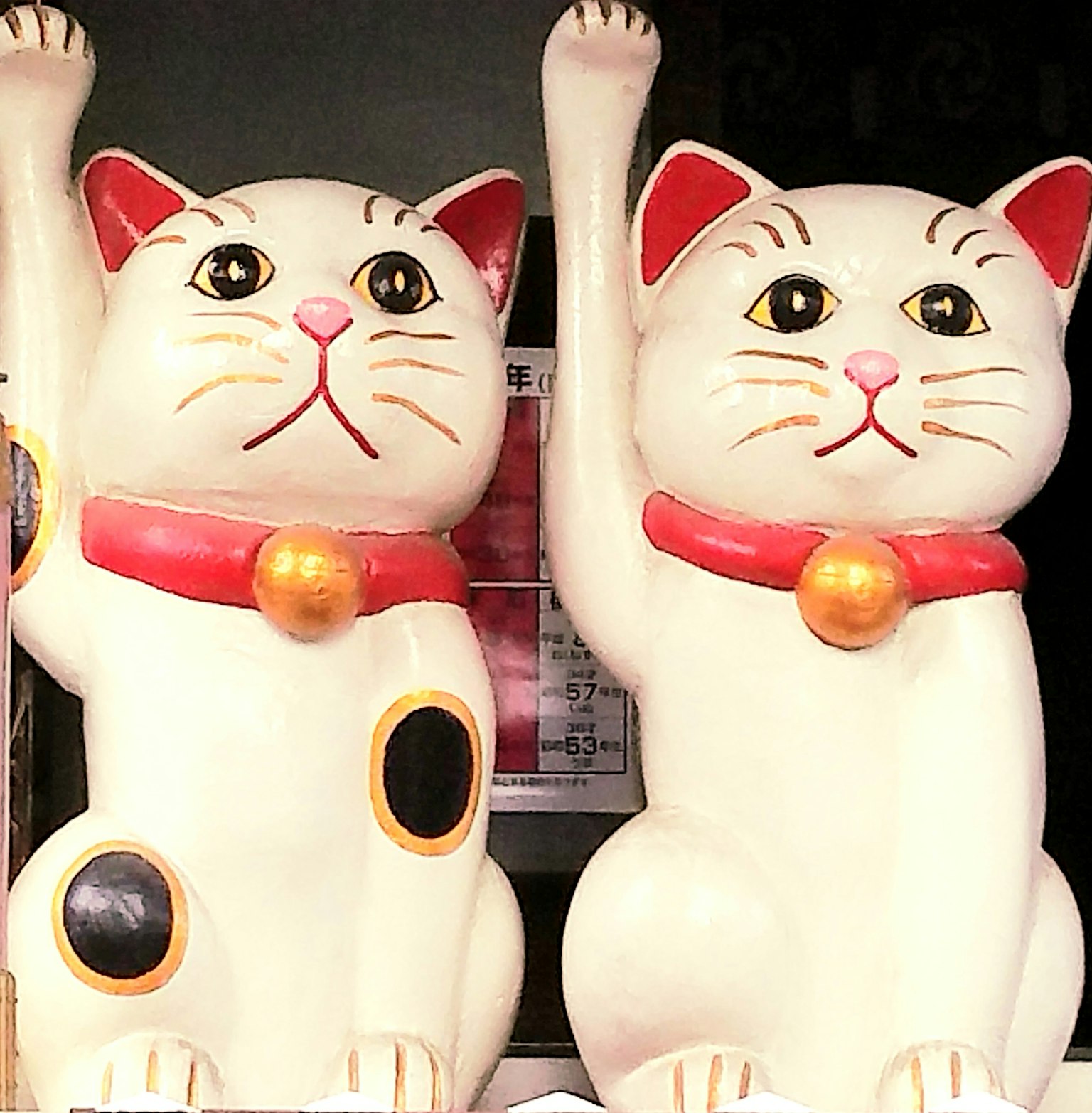 Hai chú mèo may mắn giơ chân
