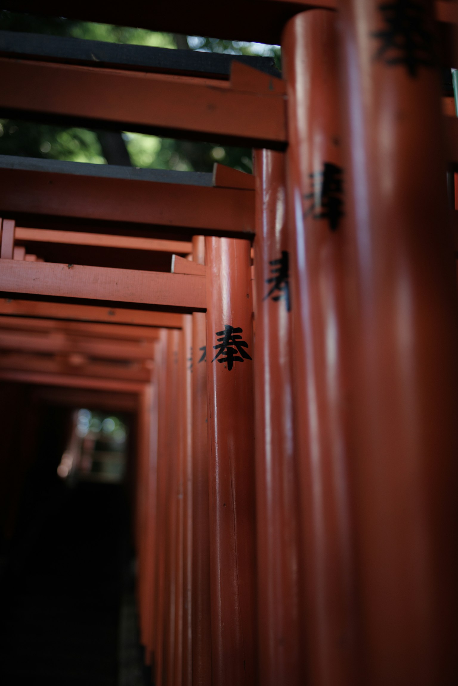 神社中一排紅色的鳥居
