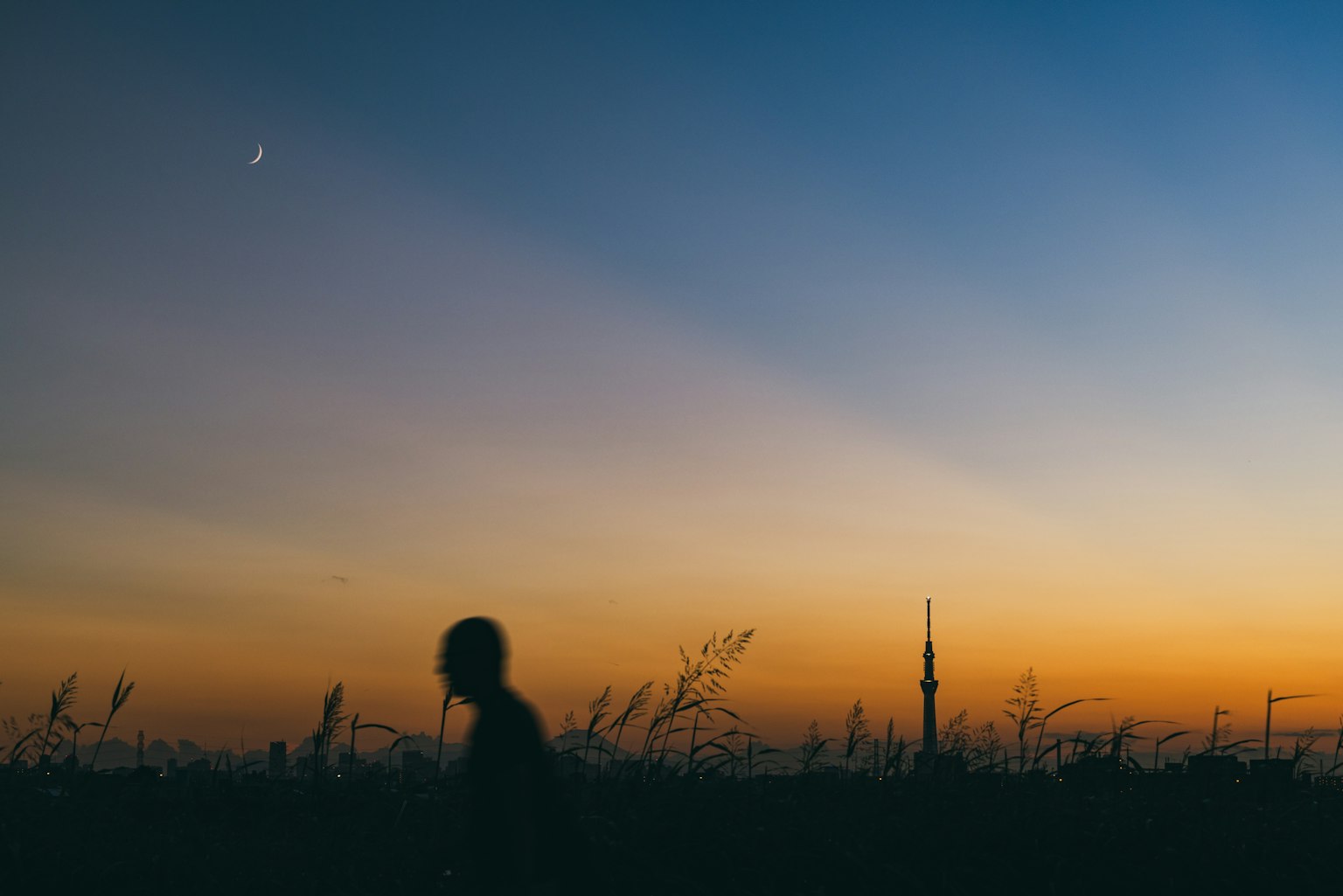 Silhouette einer Person, die gegen einen Sonnenuntergang und Sterne geht