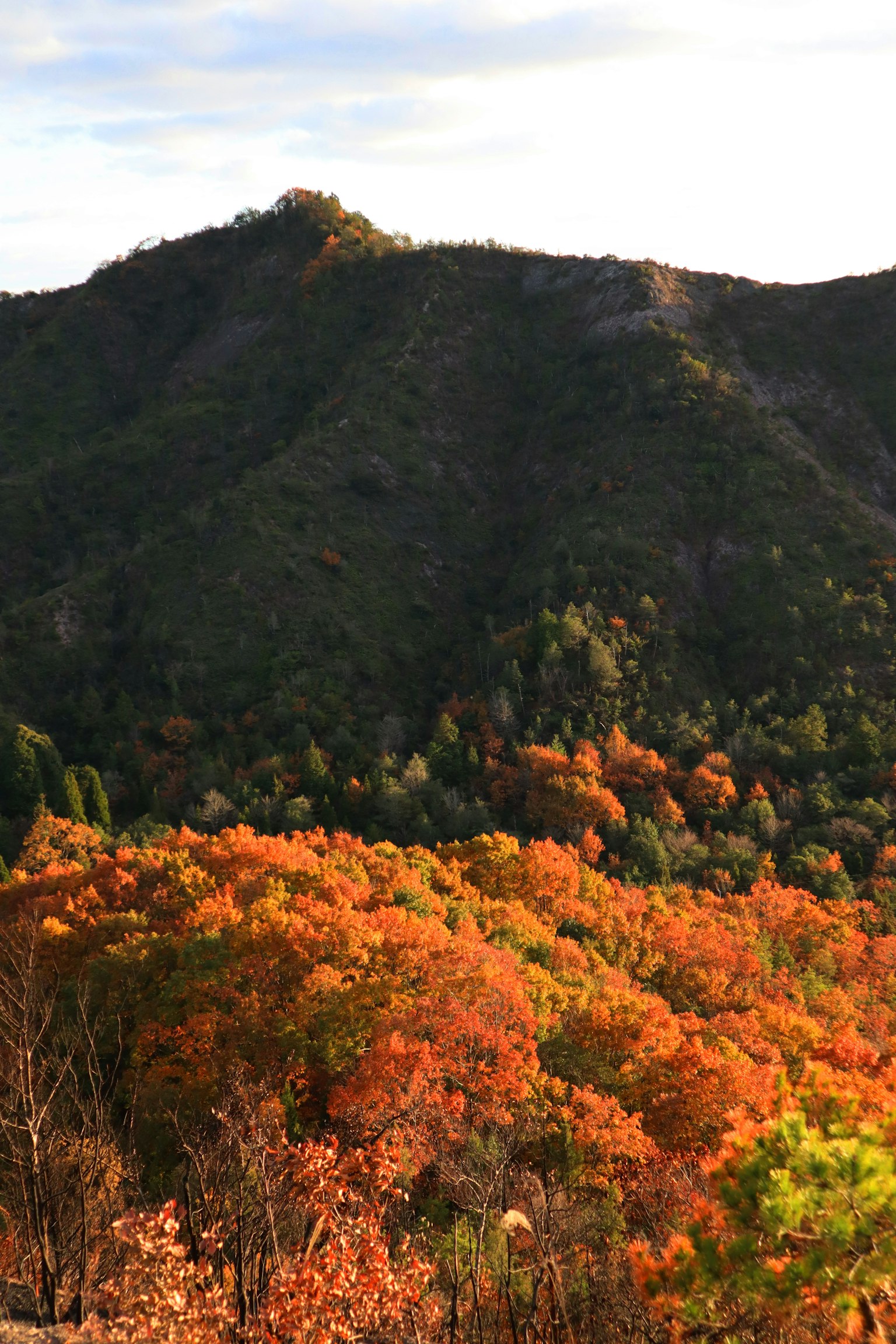 Pemandangan gunung dengan warna musim gugur yang cerah