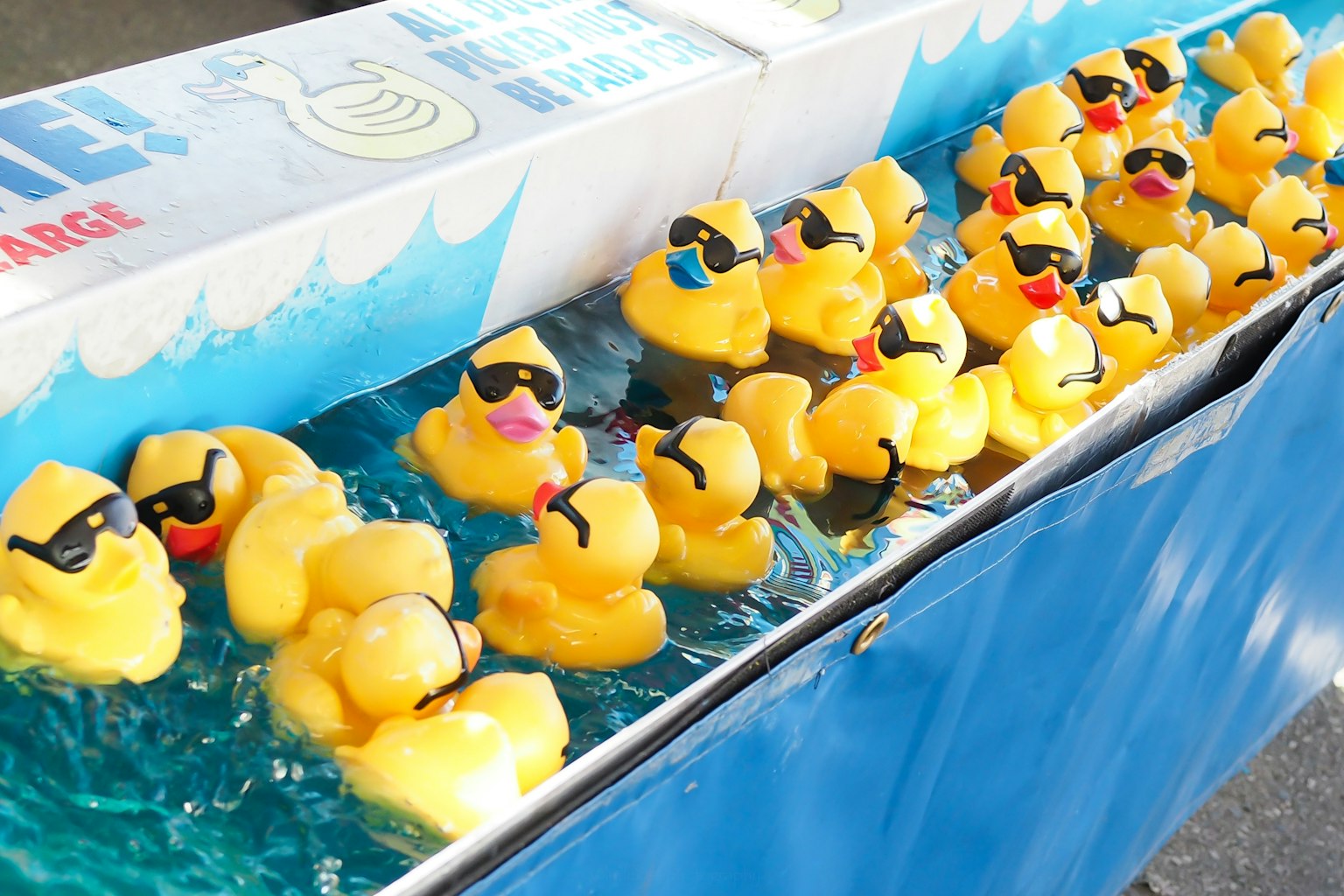 Gelbe Gummienten mit Sonnenbrillen, die im Wasser schwimmen